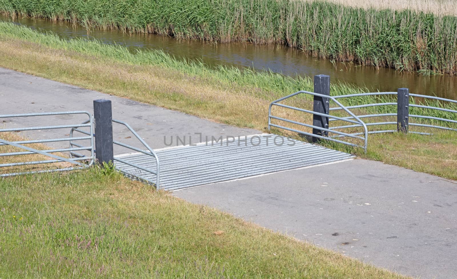 Cattle grid in ground, an obstacle used to prevent wild cattle and other wildlife from crossing