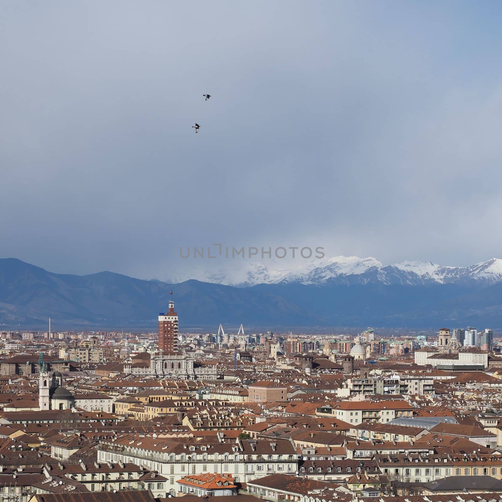 Aerial view of Turin by claudiodivizia