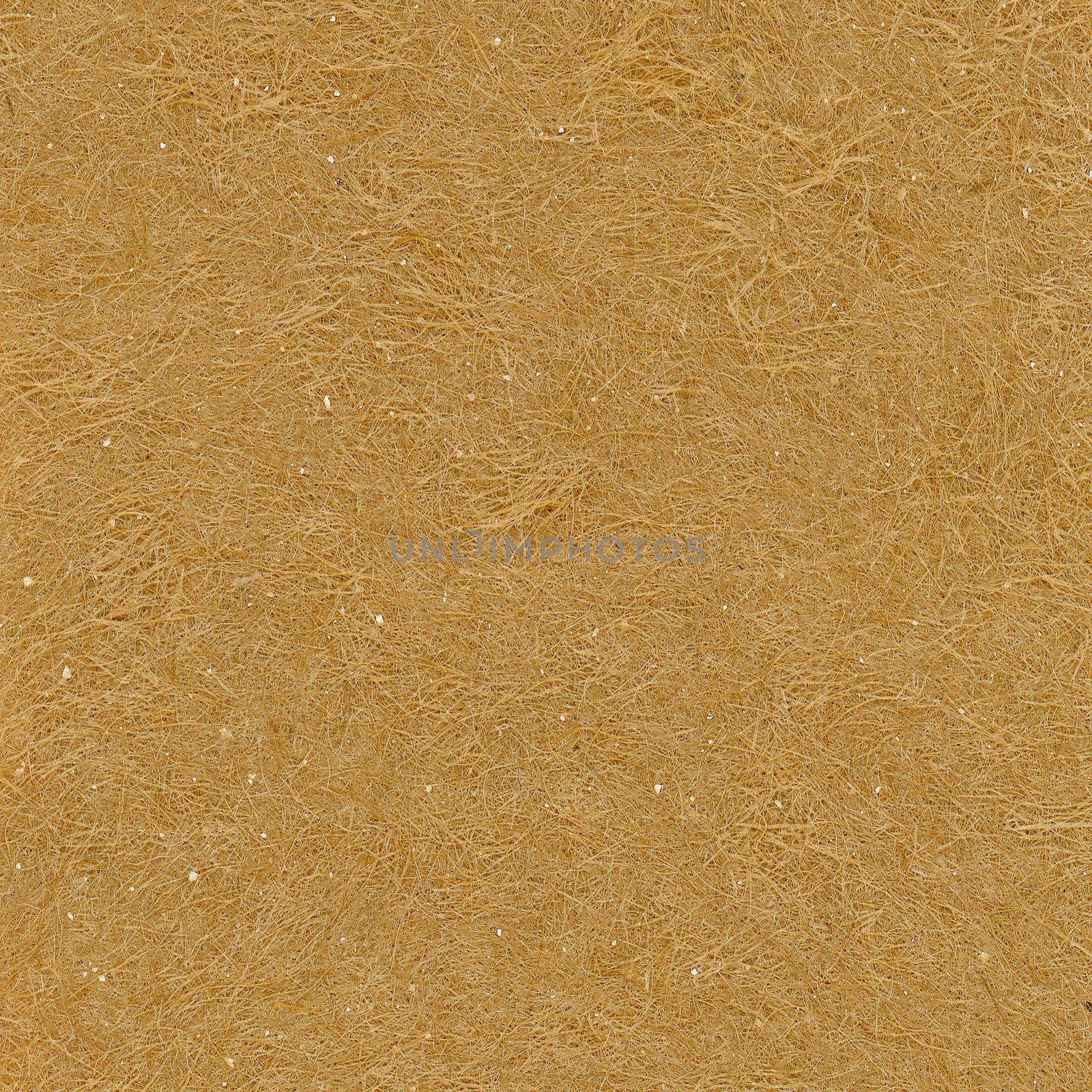 micrograph view of brown cardboard, with fibres of cellulose pulp derived from wood clearly visible