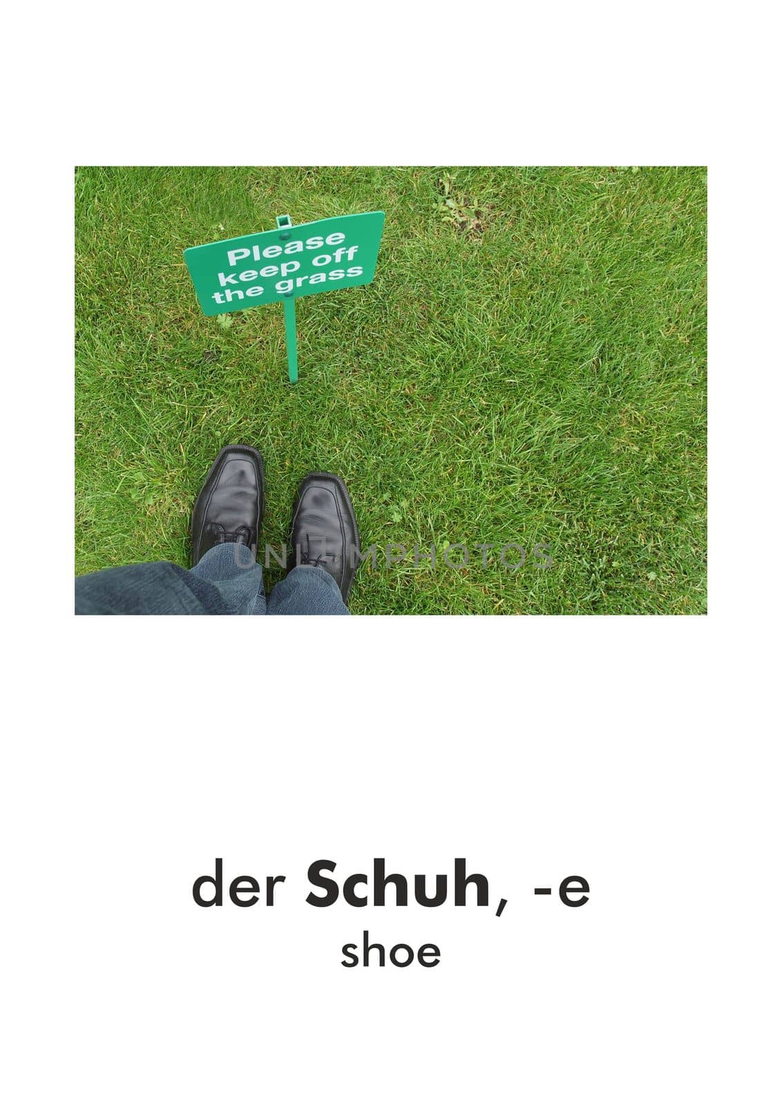 German word card: der Schuh (shoe)