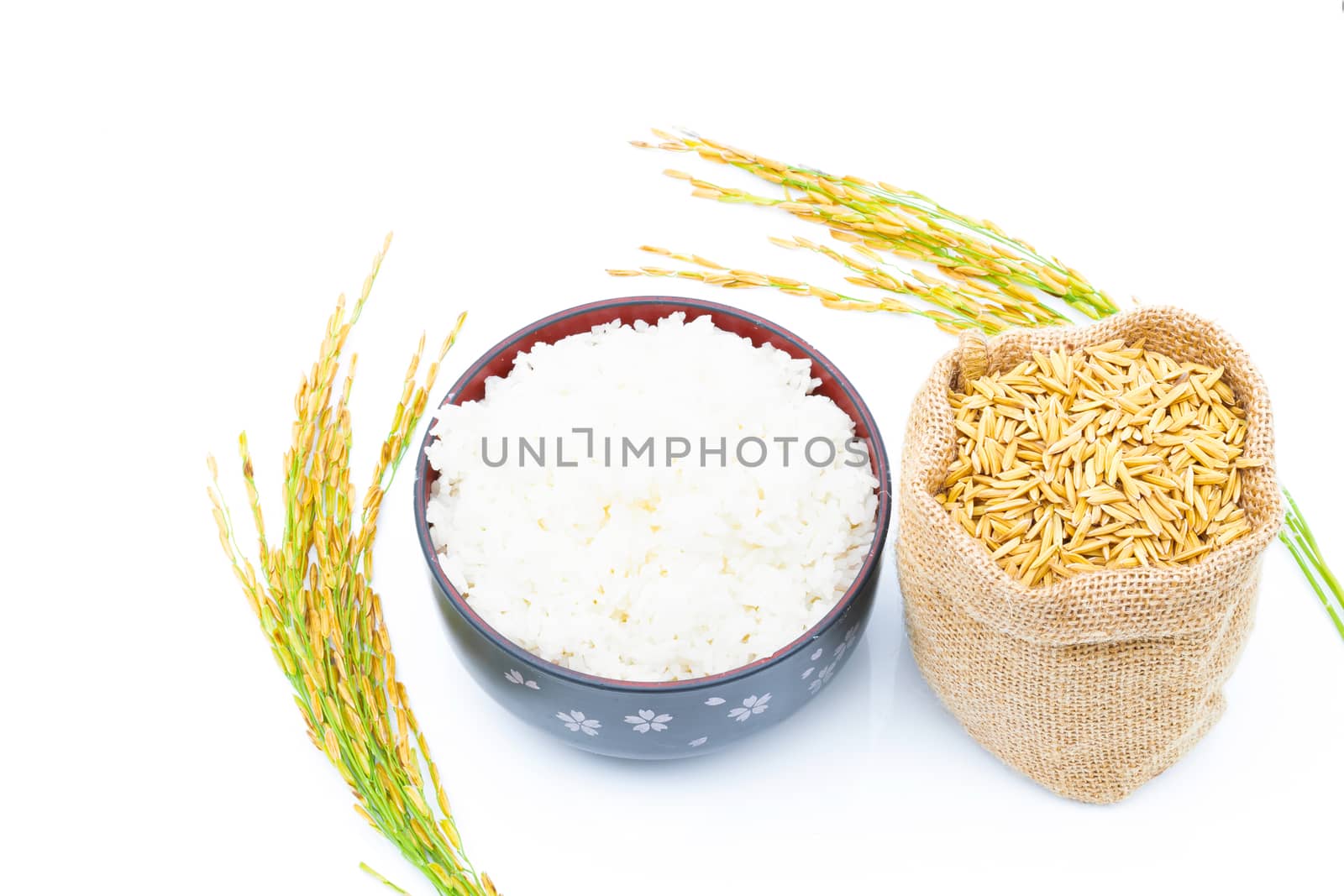 Rice of paddy Golden yellow in a sack on a white background by sompongtom