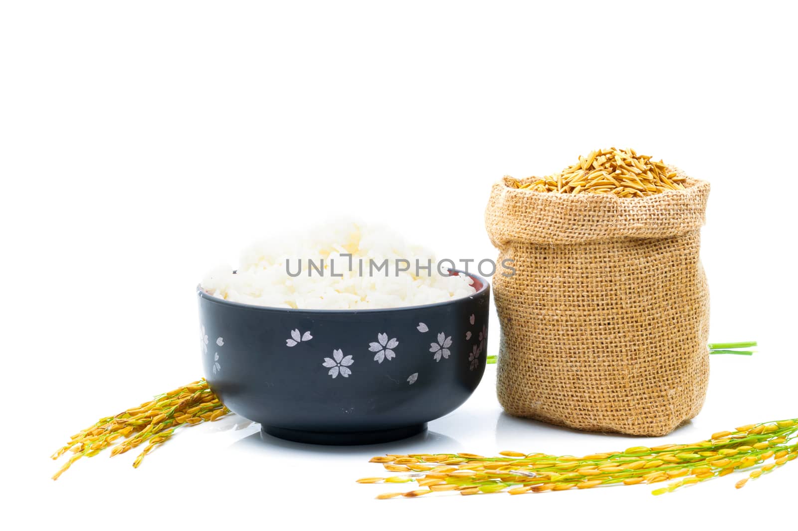 Rice of paddy Golden yellow in a sack on a white background by sompongtom