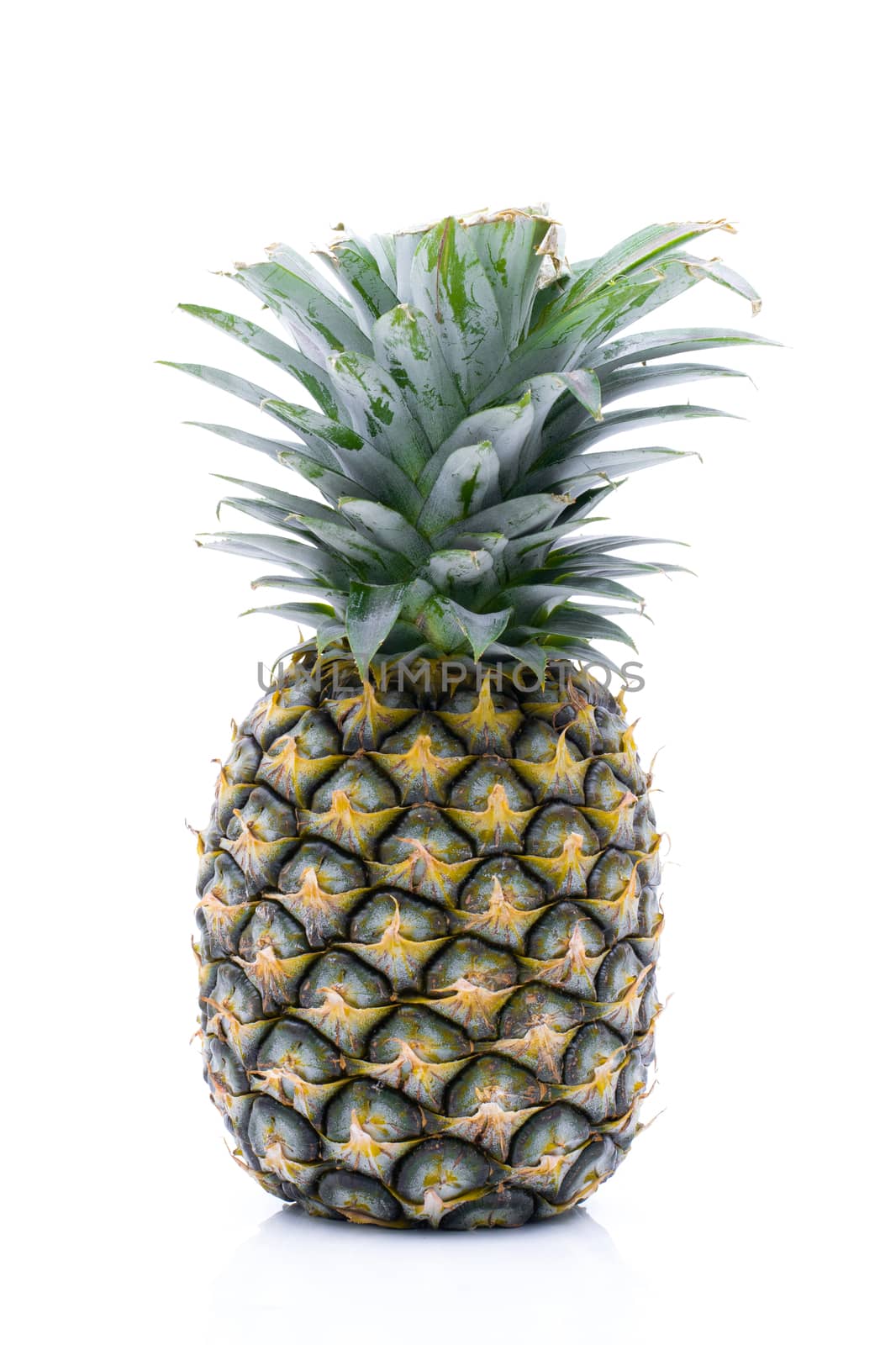 Fruit pineapple on a white background