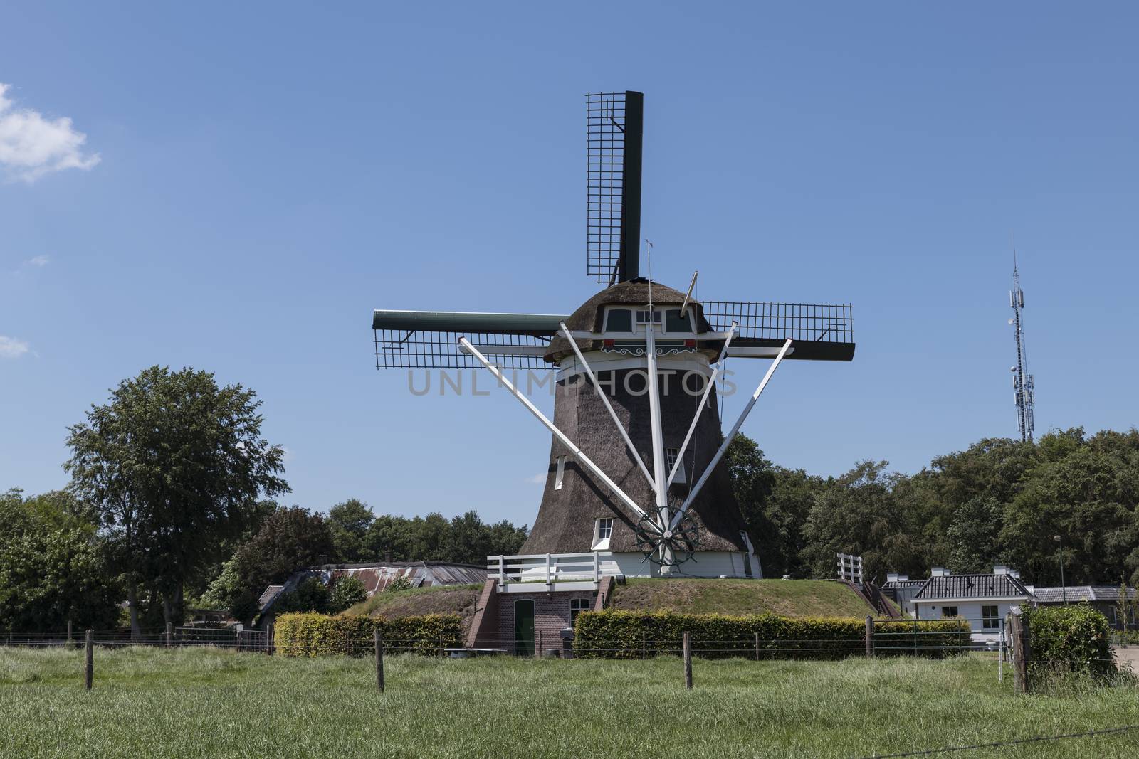 traditional dutch windmilll in the village of Elspeet