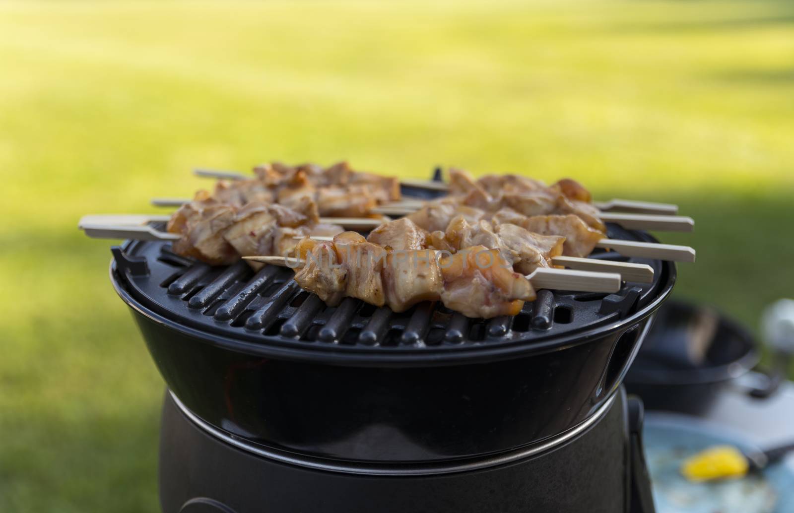 electrical bbq with grill plate for a nice chicken sate