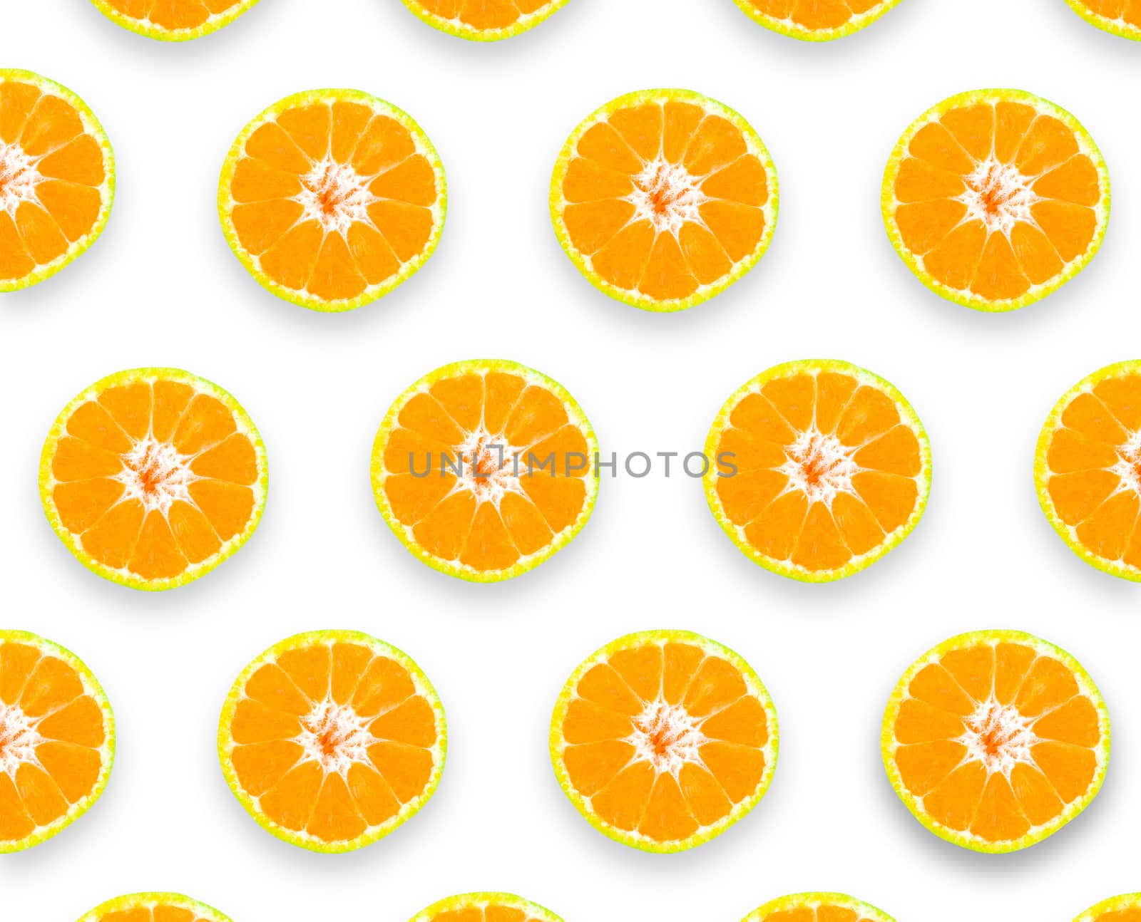 Collection Shogun oranges fruit on a white background