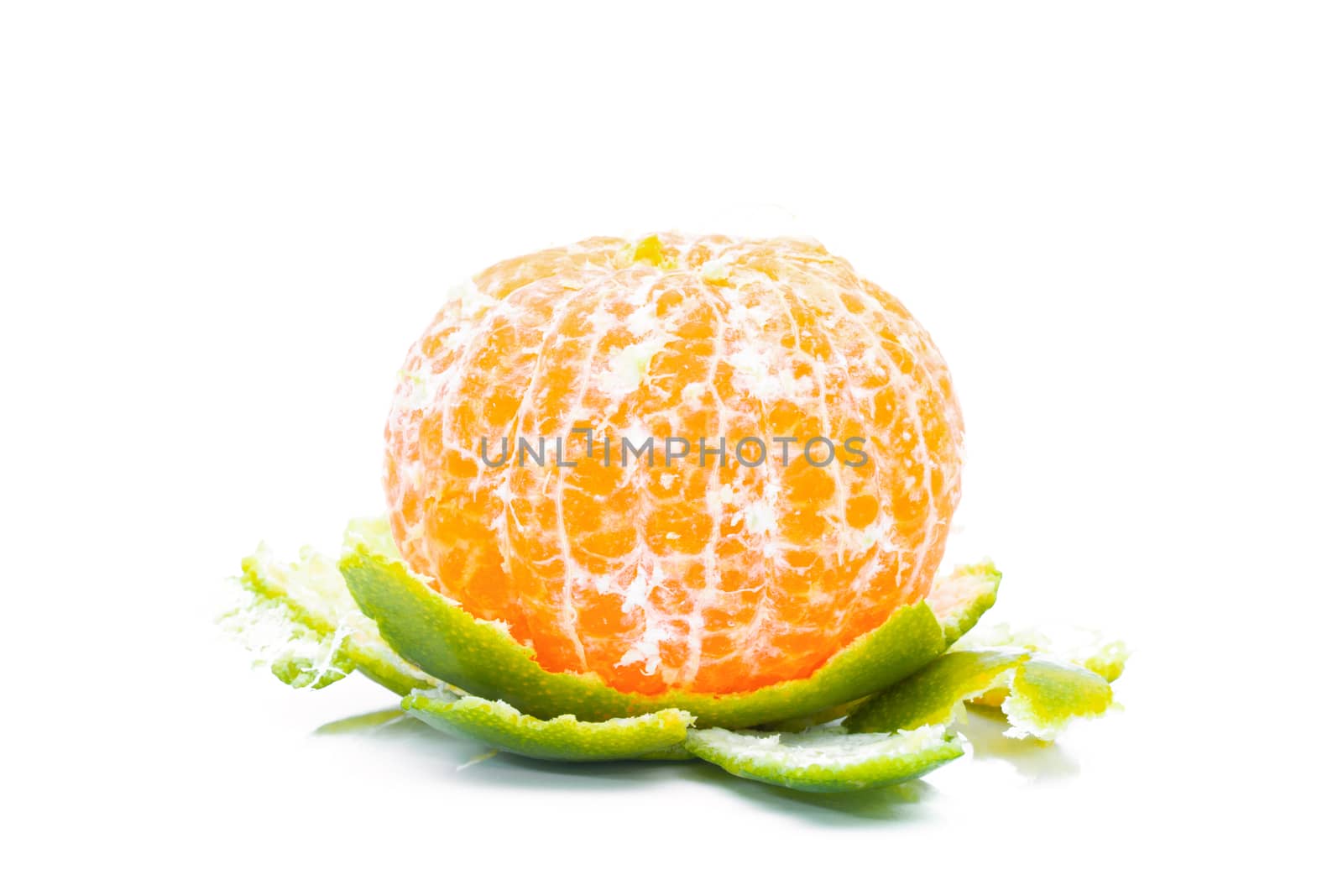 Shogun oranges fruit on a white background by sompongtom