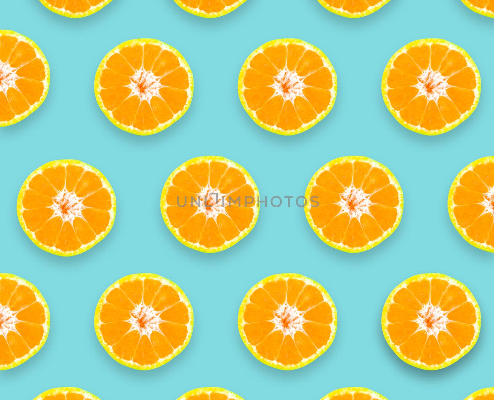 Collection Shogun oranges fruit On a blue background