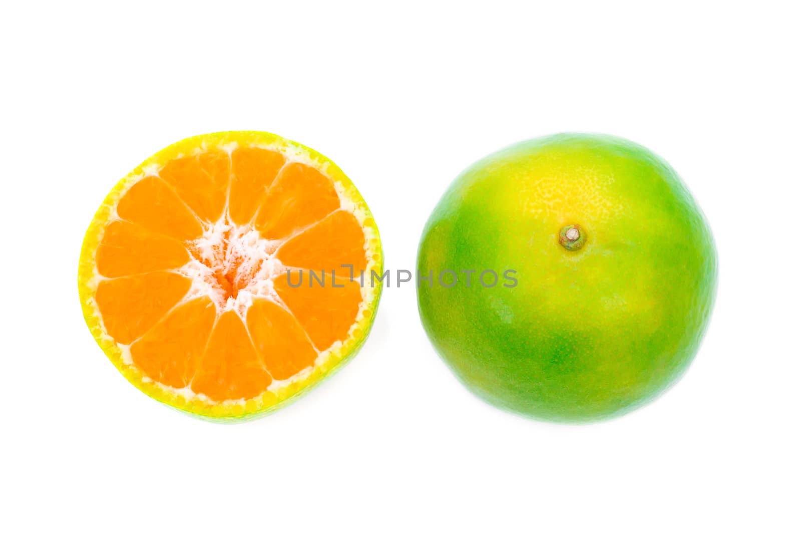 Shogun oranges fruit on a white background by sompongtom