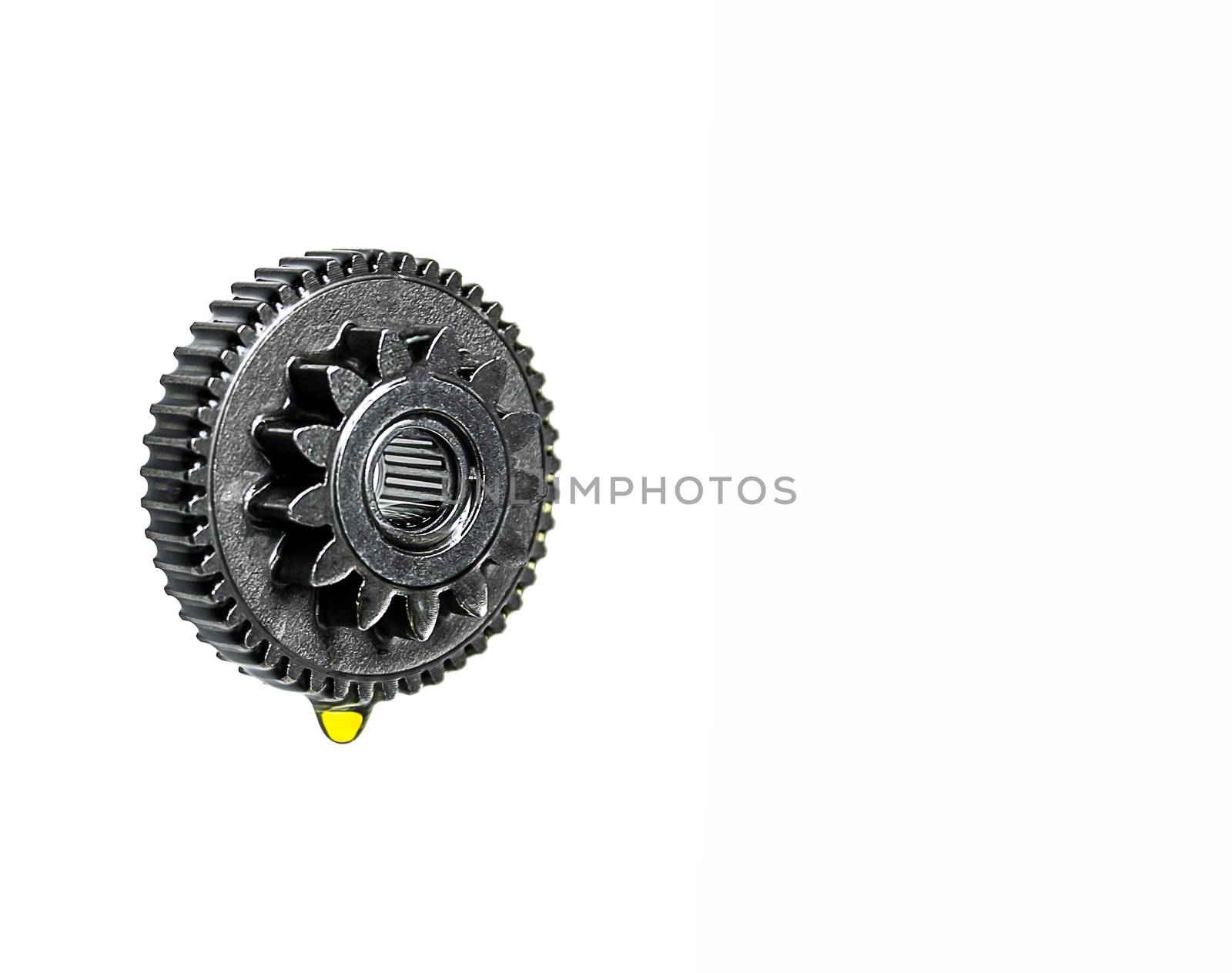 Gear and bearing industry in lubricant oiling a white background by sompongtom