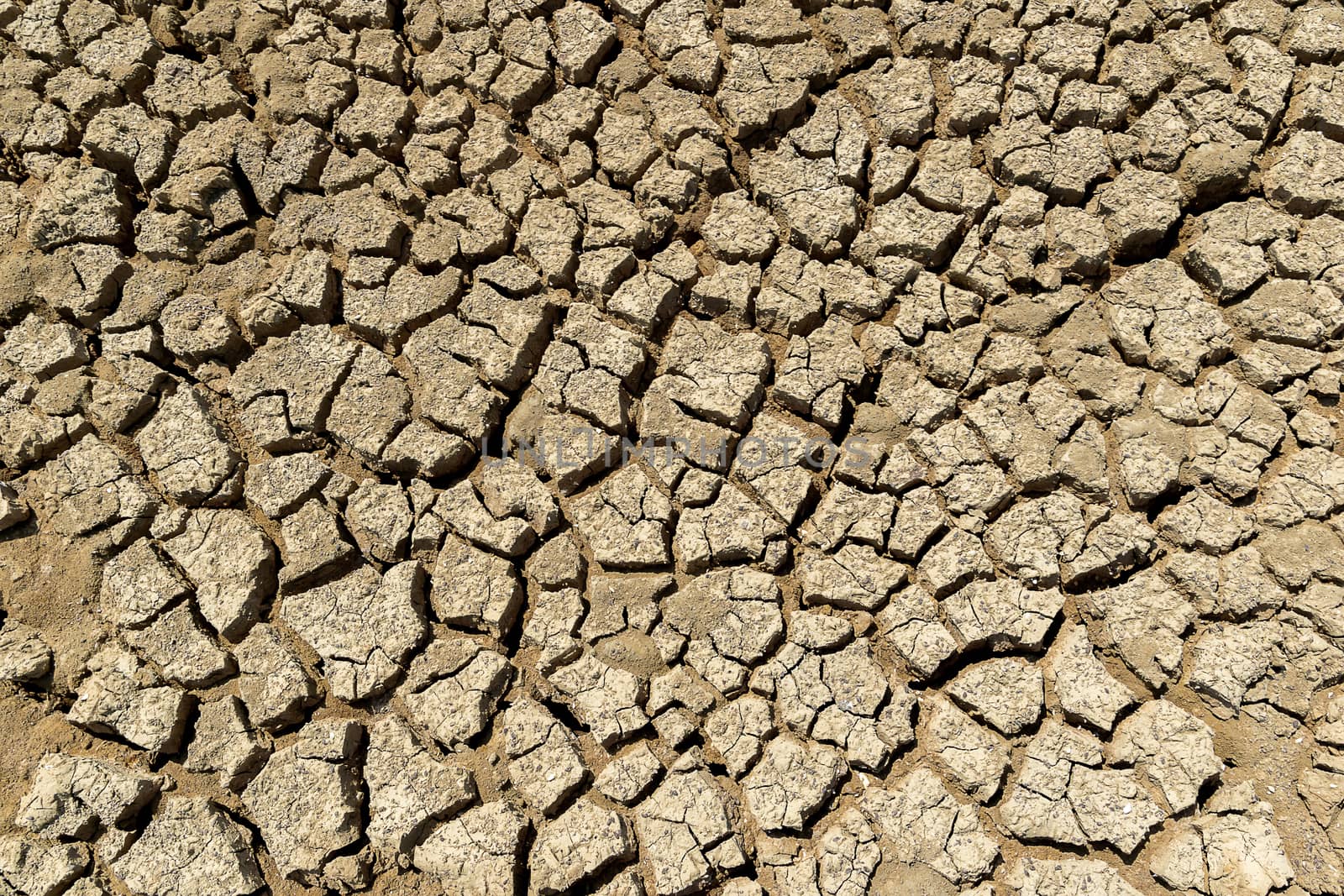 Drought ground of ecology and the environment