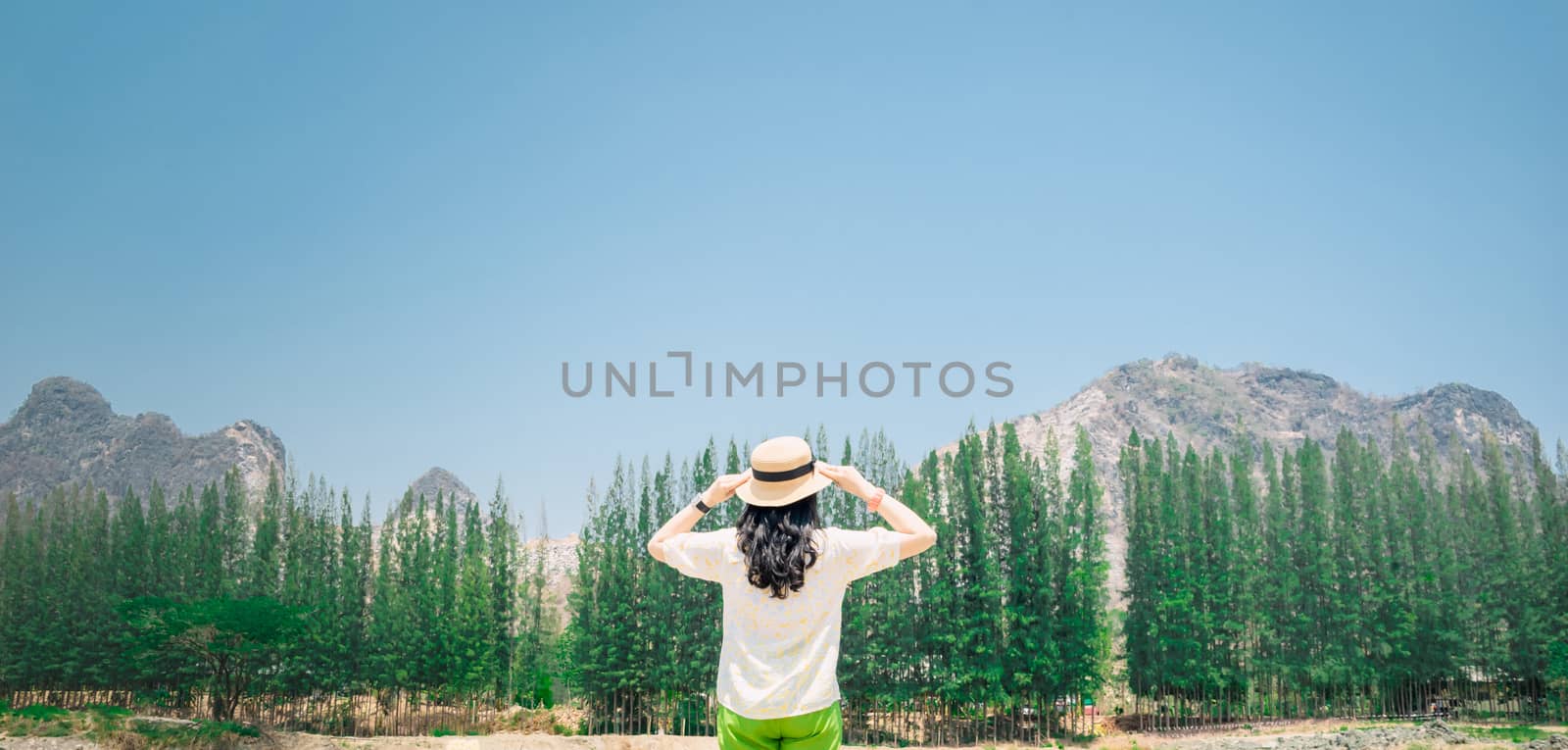 A woman stands to see the view of the trees and mountains on a holiday