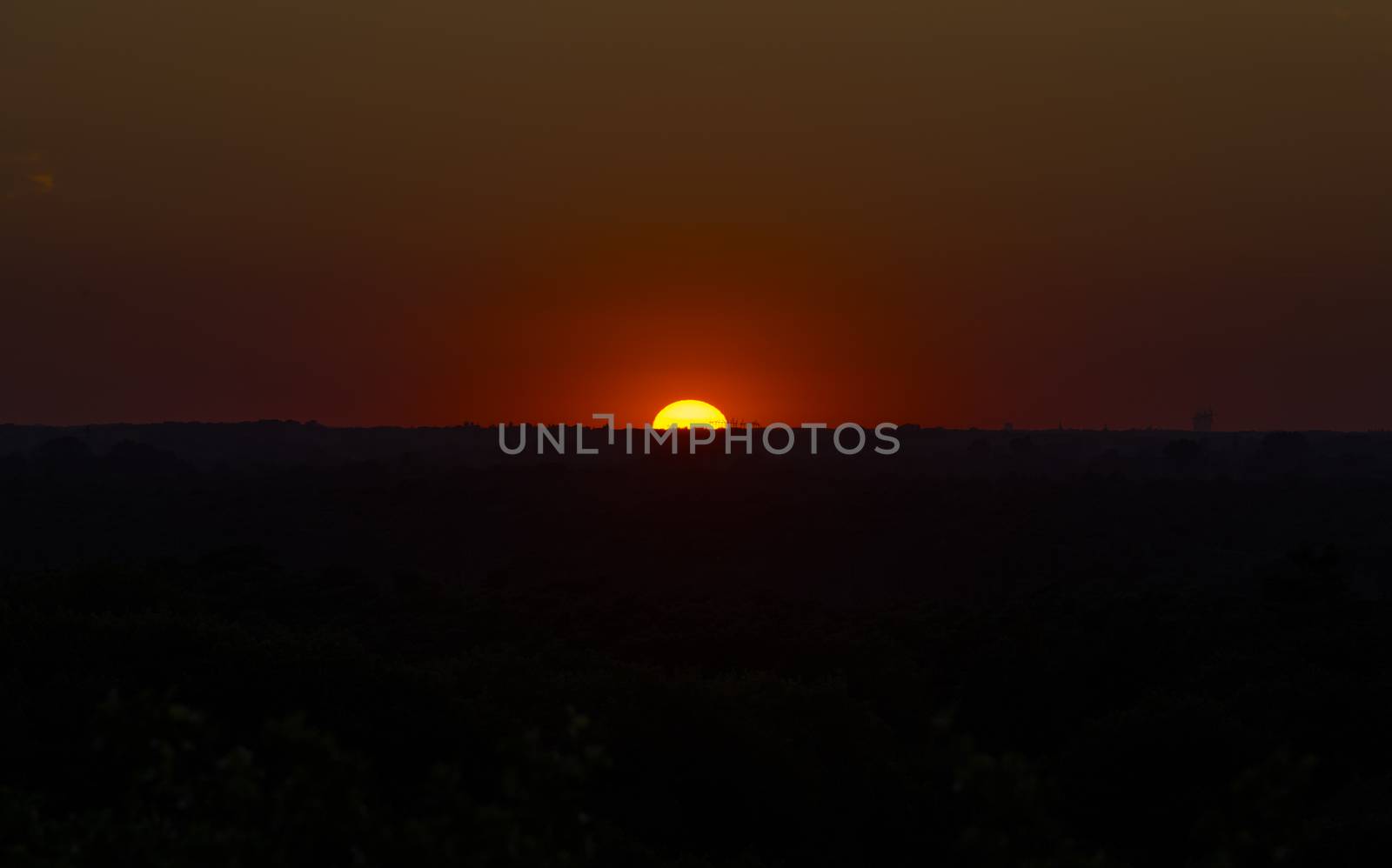 red sunset with middle horizon over the veluwe national park