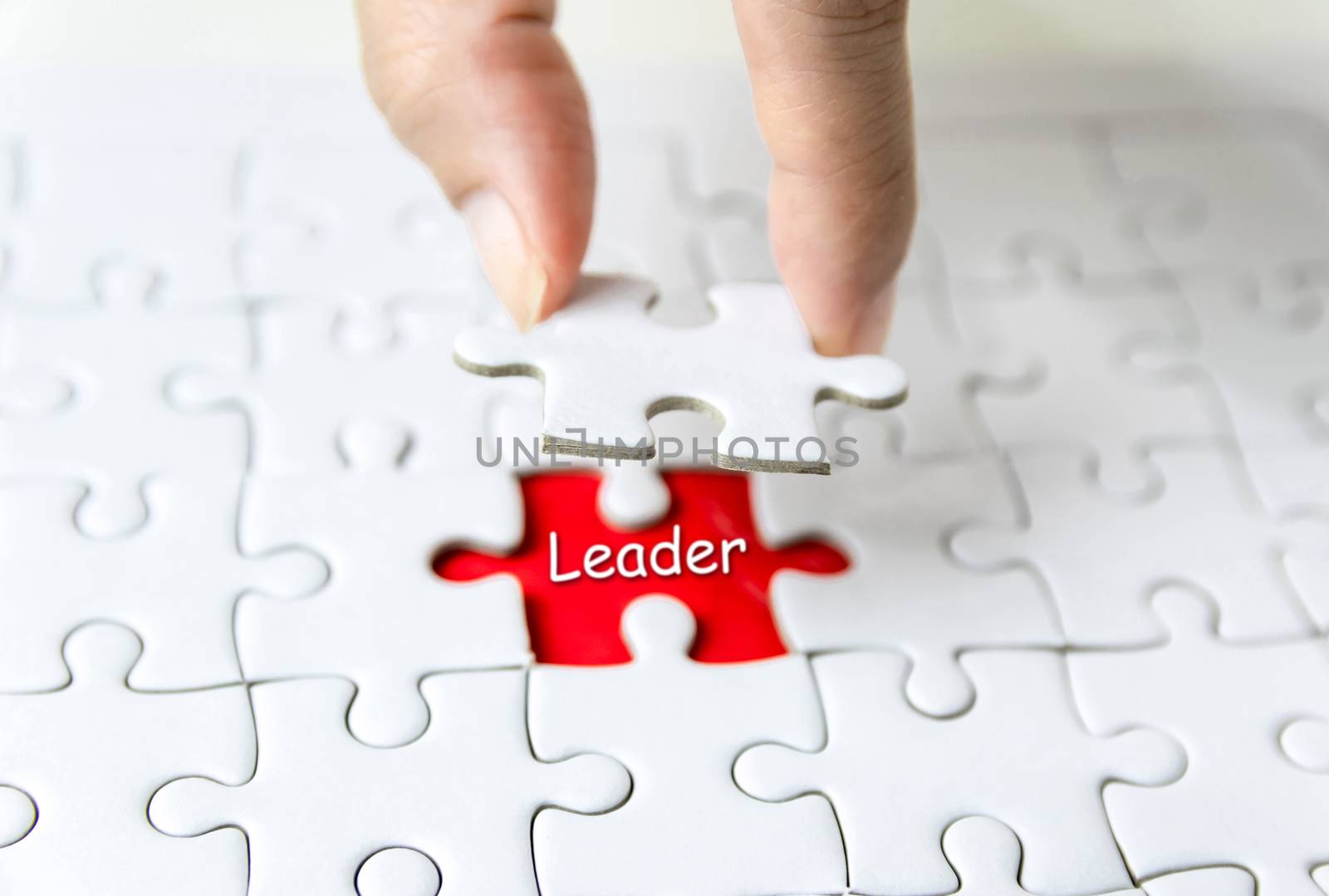 Organizational leadership concepts of jigsaw puzzle for succeed
