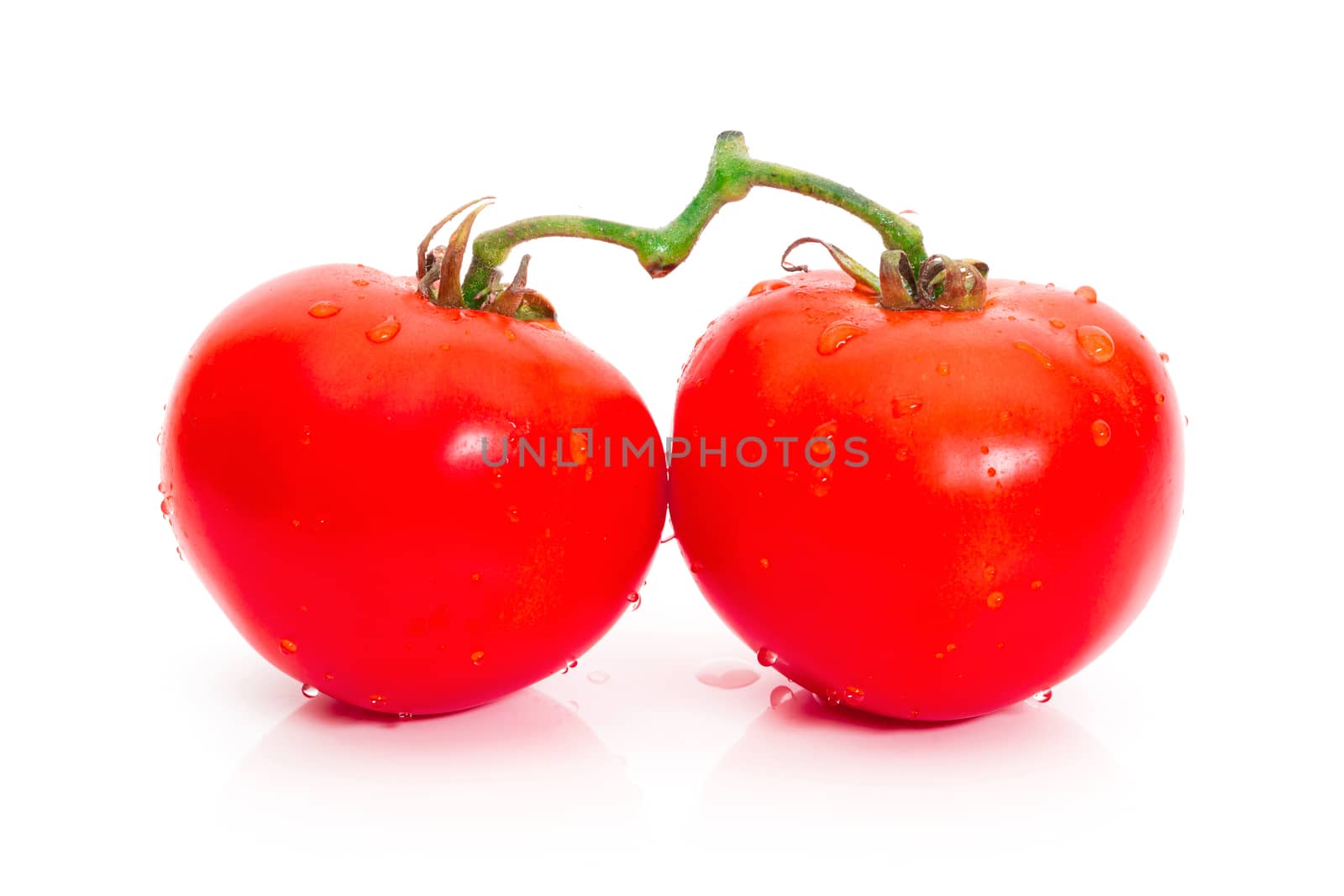 Tomato red color on a white background by sompongtom