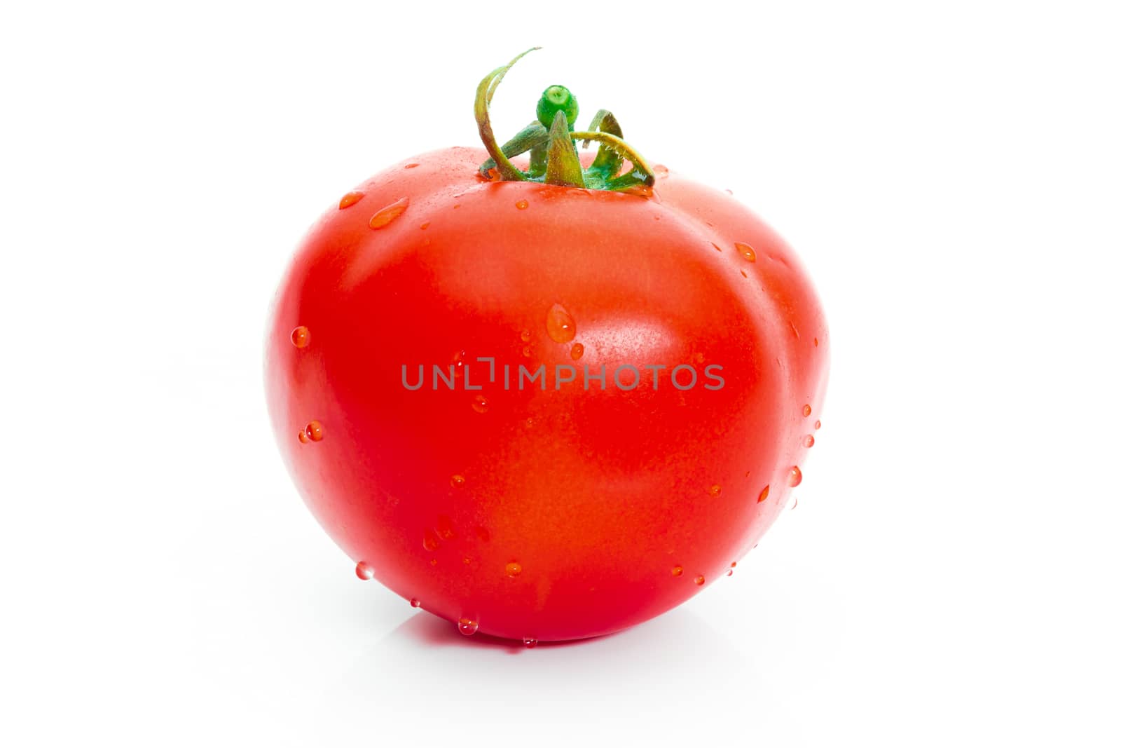 Tomato red color on a white background by sompongtom