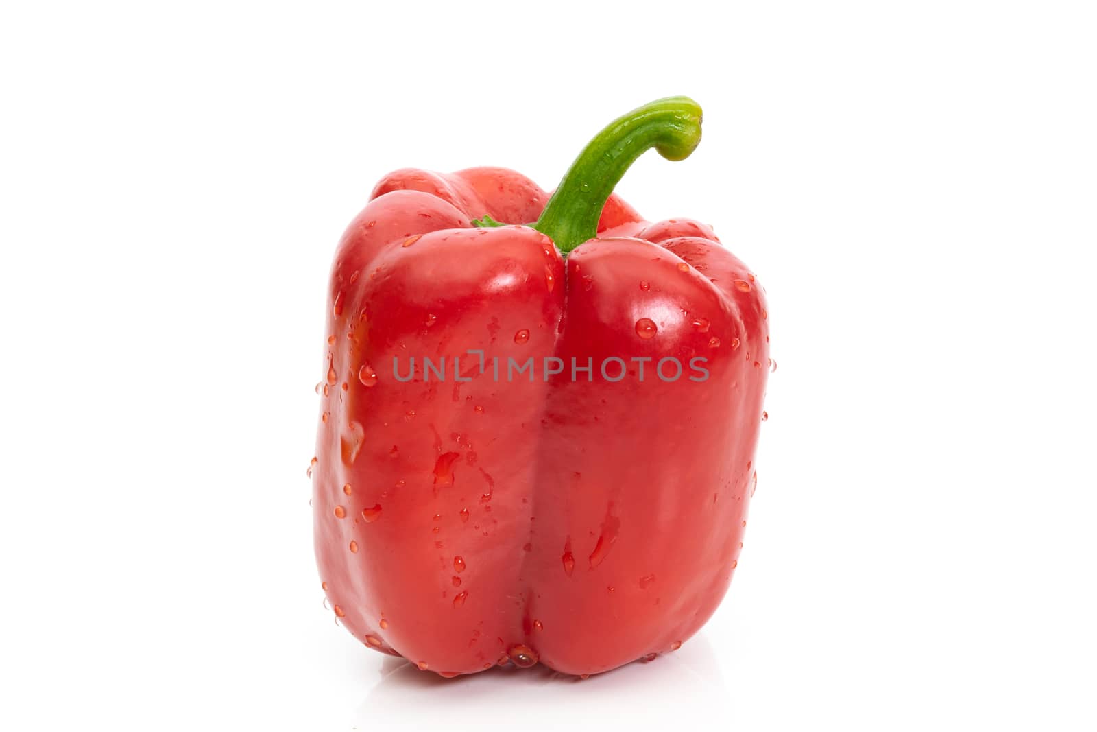 Large bell pepper red on a white background by sompongtom