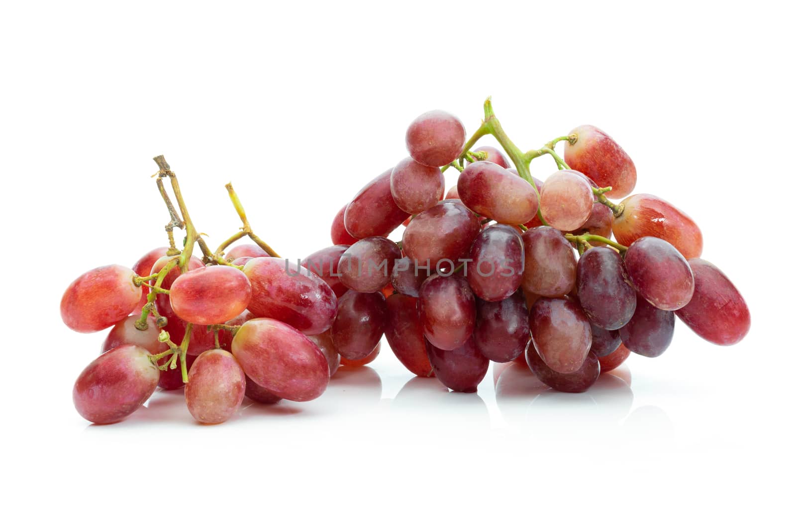 Grape red on a white background by sompongtom