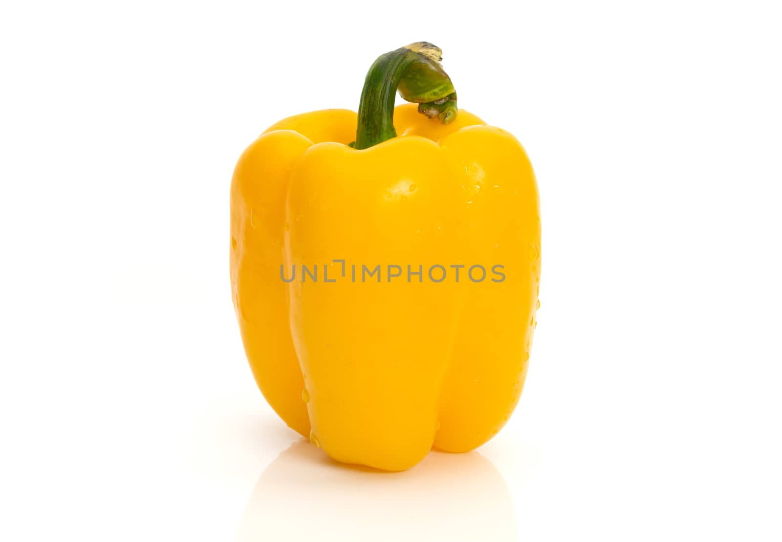 Large bell pepper yellow on a white background by sompongtom