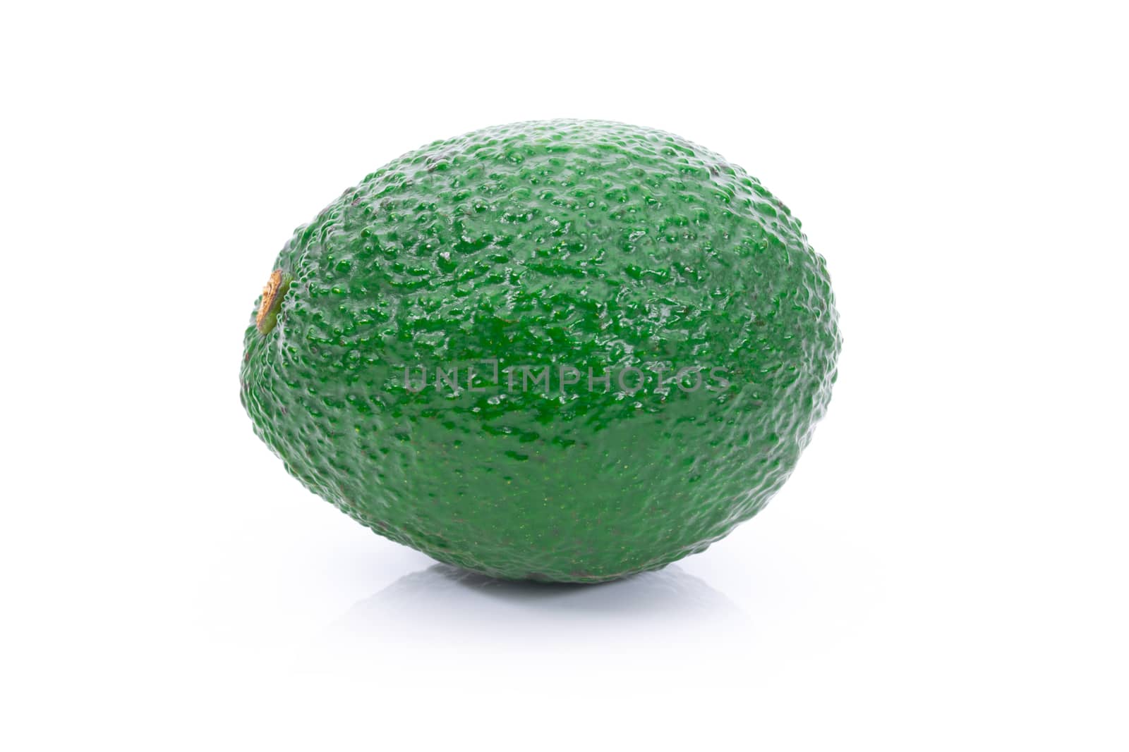 Avocado fruit on a white background