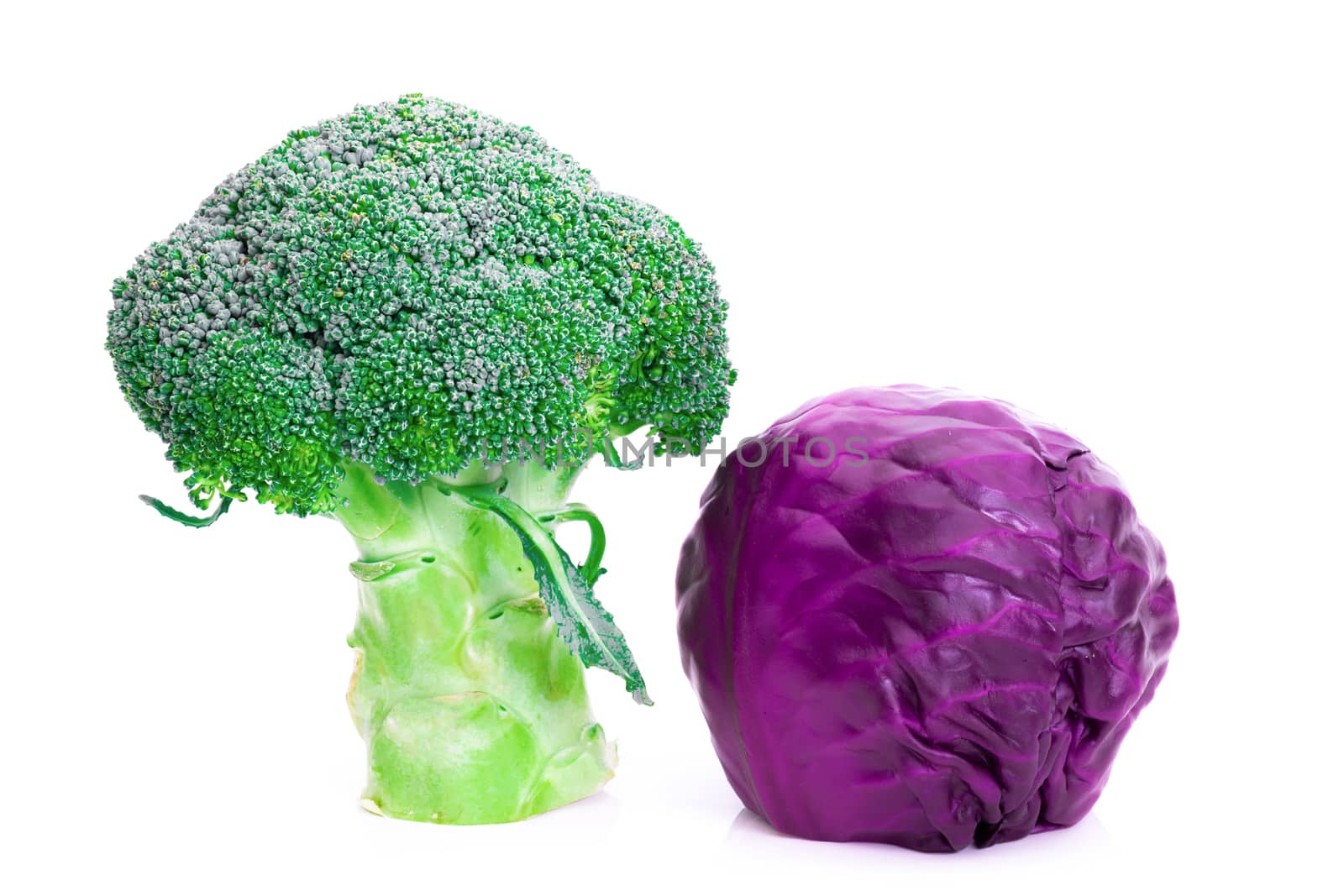 Broccoli and Red cabbage on a white background