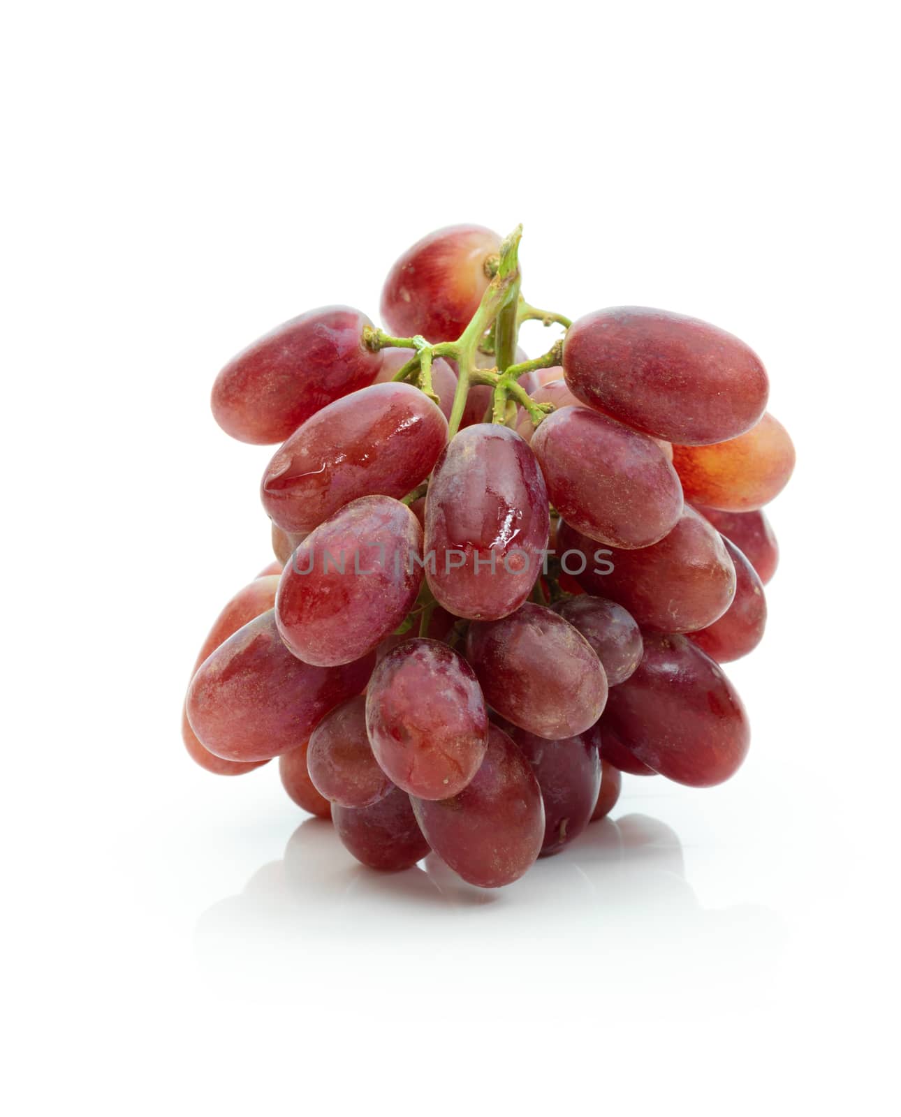 Grape red on a white background by sompongtom