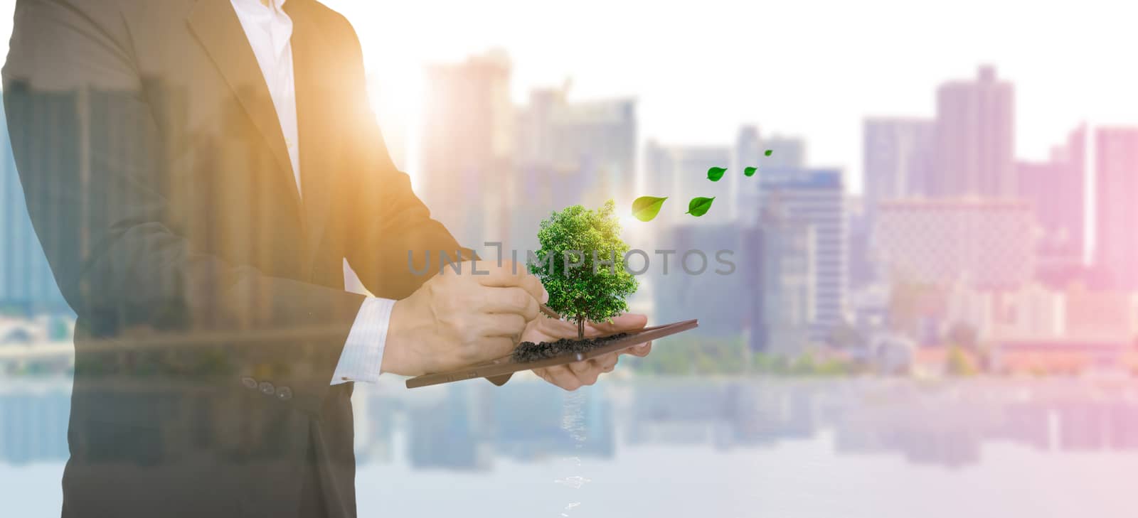 Ecology and businessmen hold tablet planting trees Urban environment