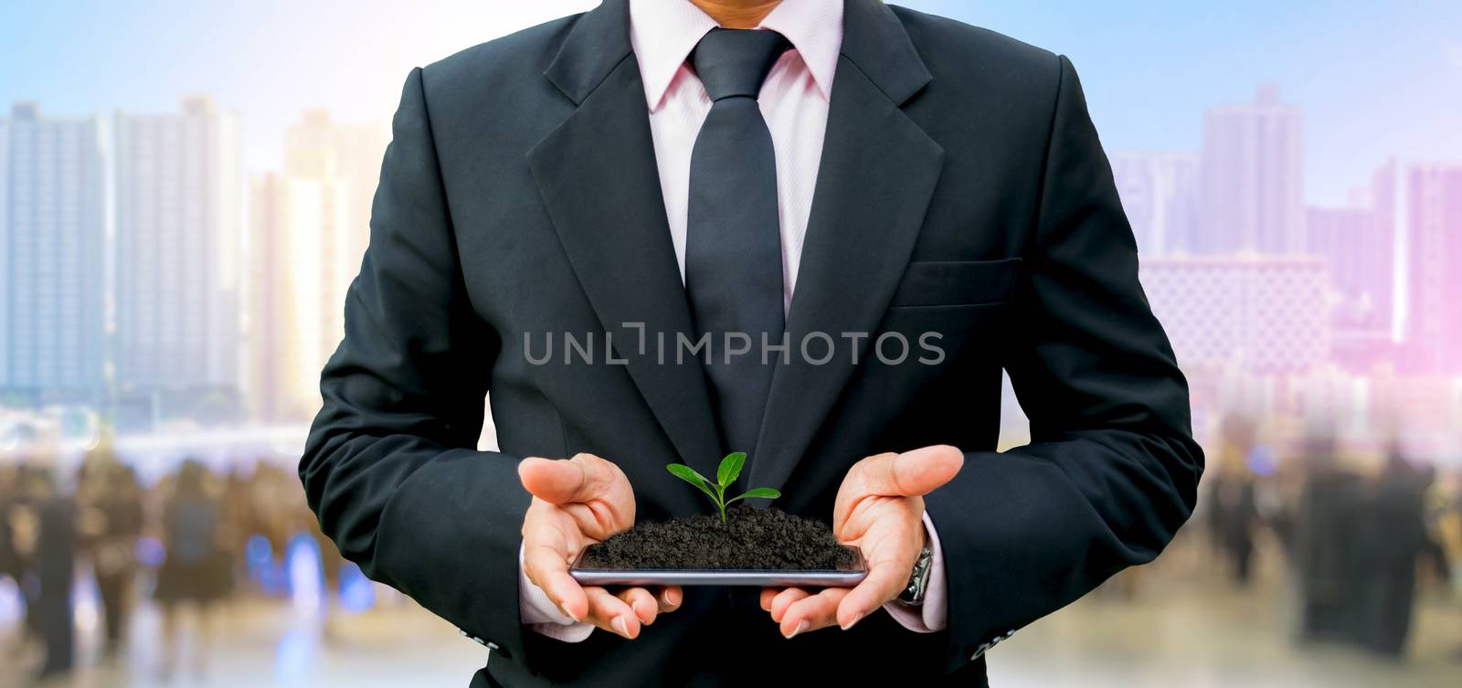 A tree seedling in the hand technology and environment in the city
