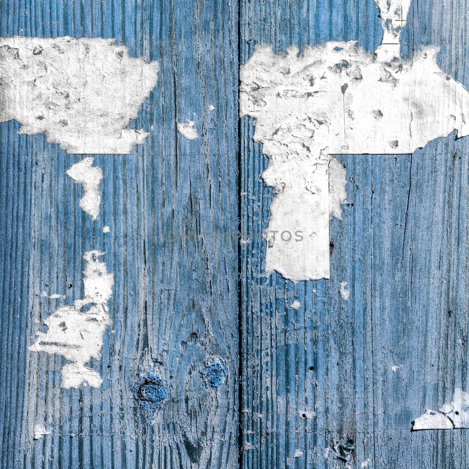 Old azure wooden boards by germanopoli