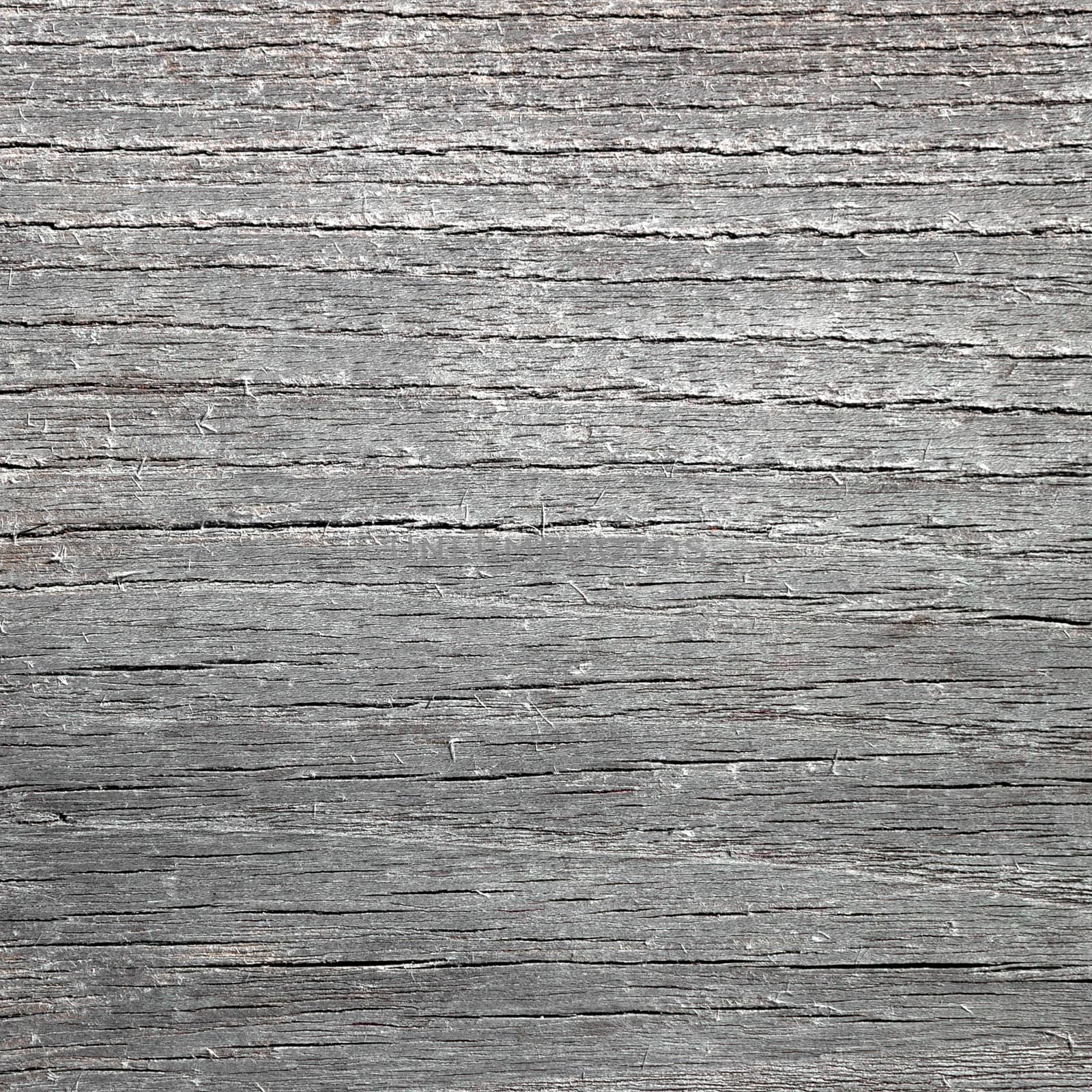 Grey wooden background. Vintage texture for many uses.