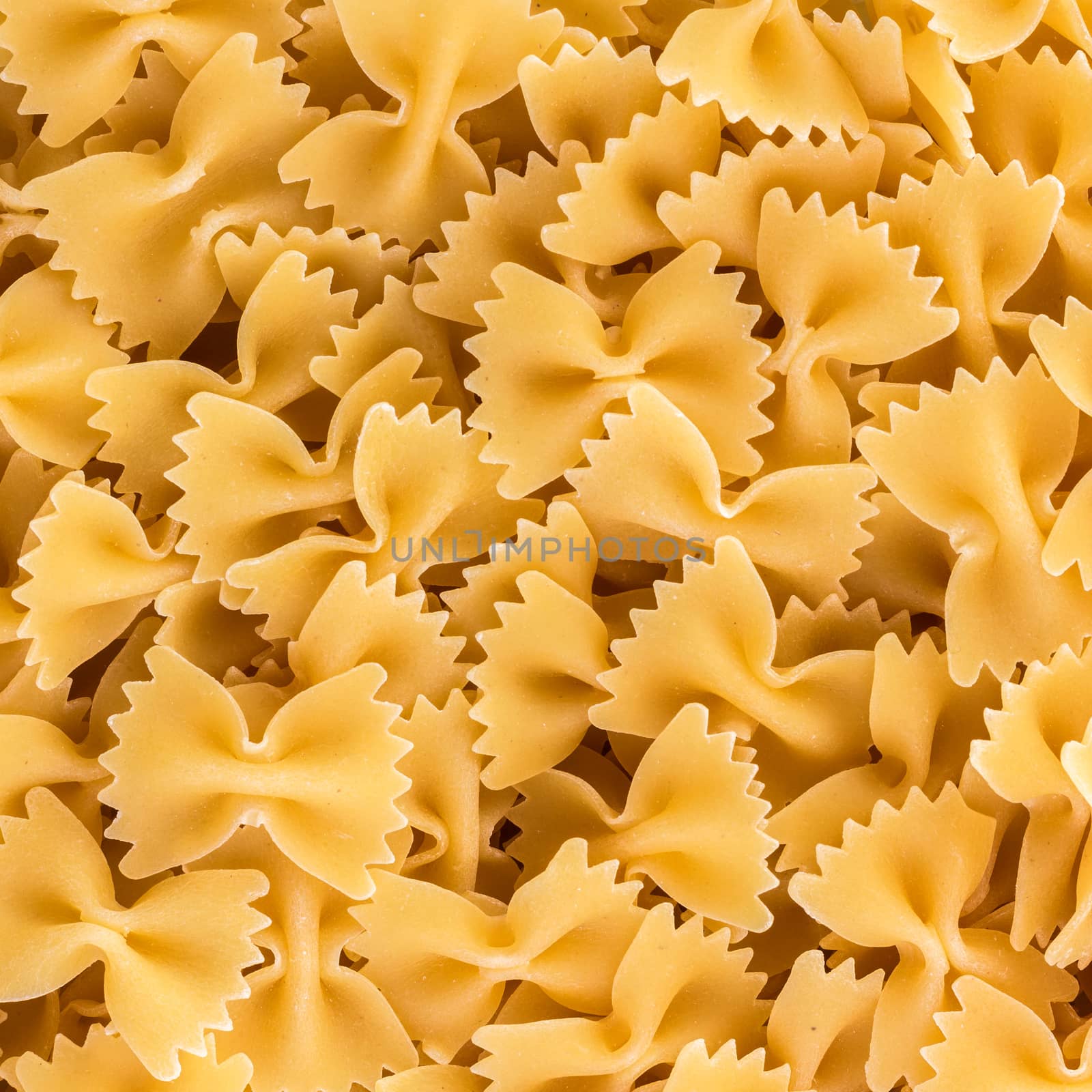 Background farfalle pasta by germanopoli