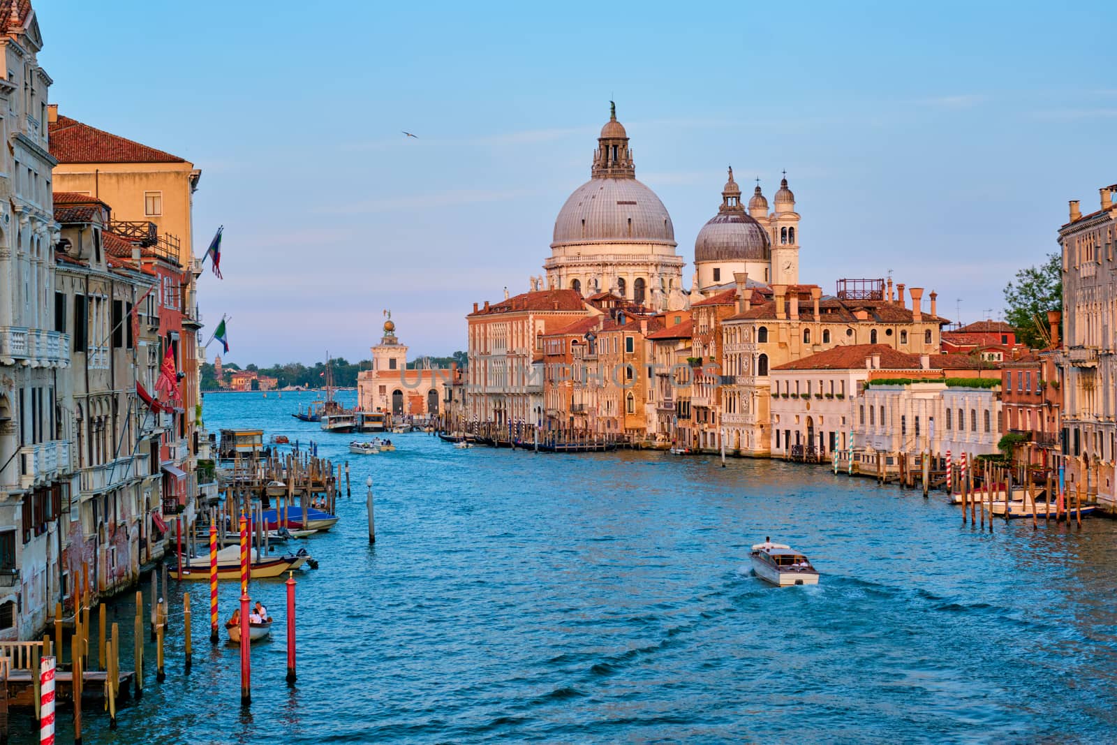 Panorama of Venice Grand Canal and Santa Maria della Salute church on sunset by dimol