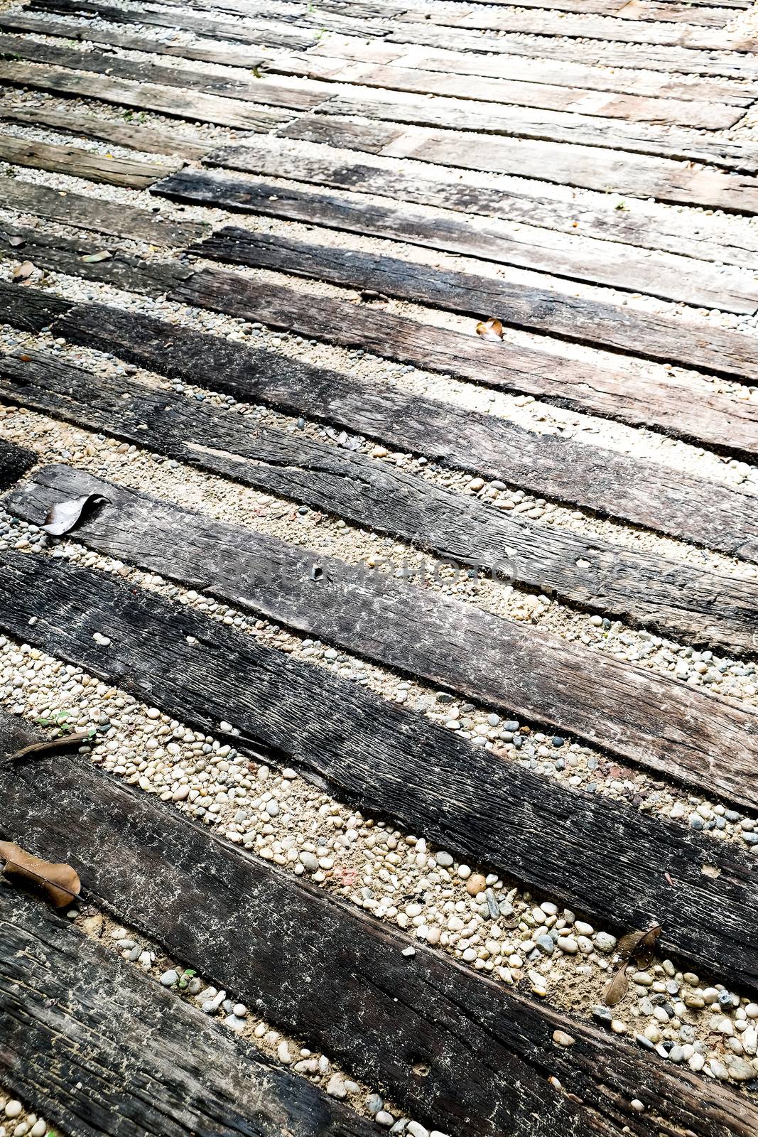 The wooden walkways in the garden