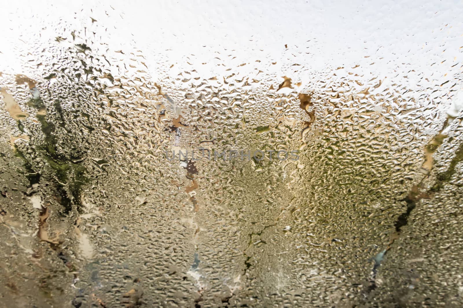 rain drops on a window