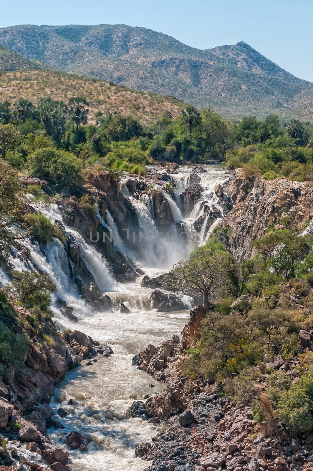 Part of the Epupa waterfalls in the Kunene River. Baobab and makalani palm trees are visible