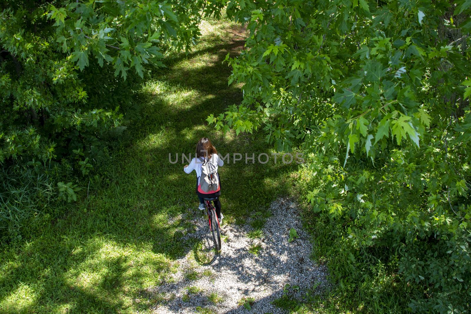 Girl with a backpack rides a red bicycle among the green foliage by ben44