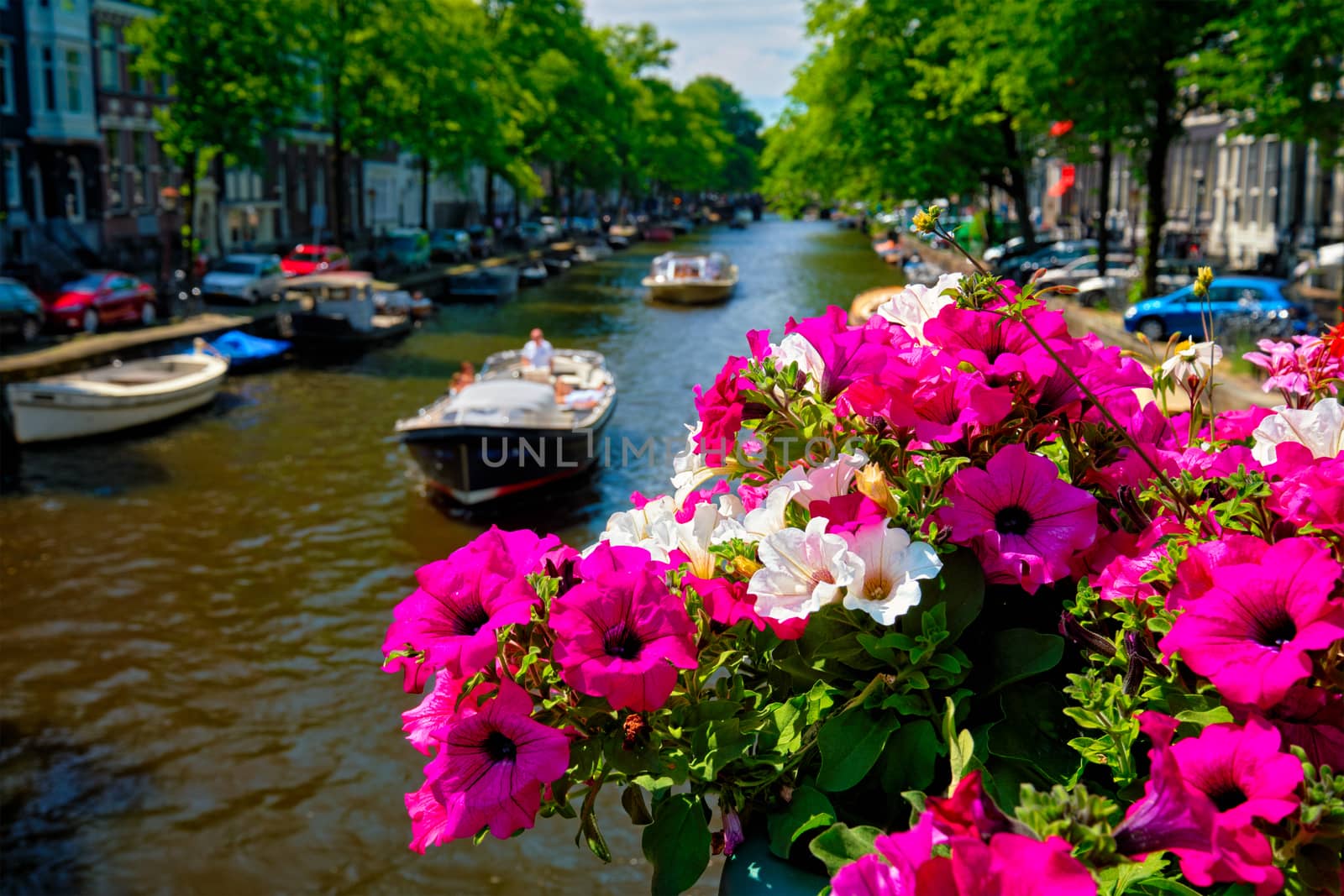 Amsterdam canal and flowers by dimol