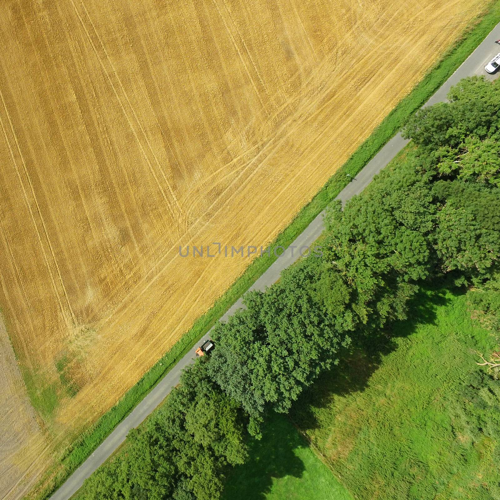 Aerial photo of a green meadow and a harvested wheat field with a path and a row of trees, abstract aerial photo, made with drone