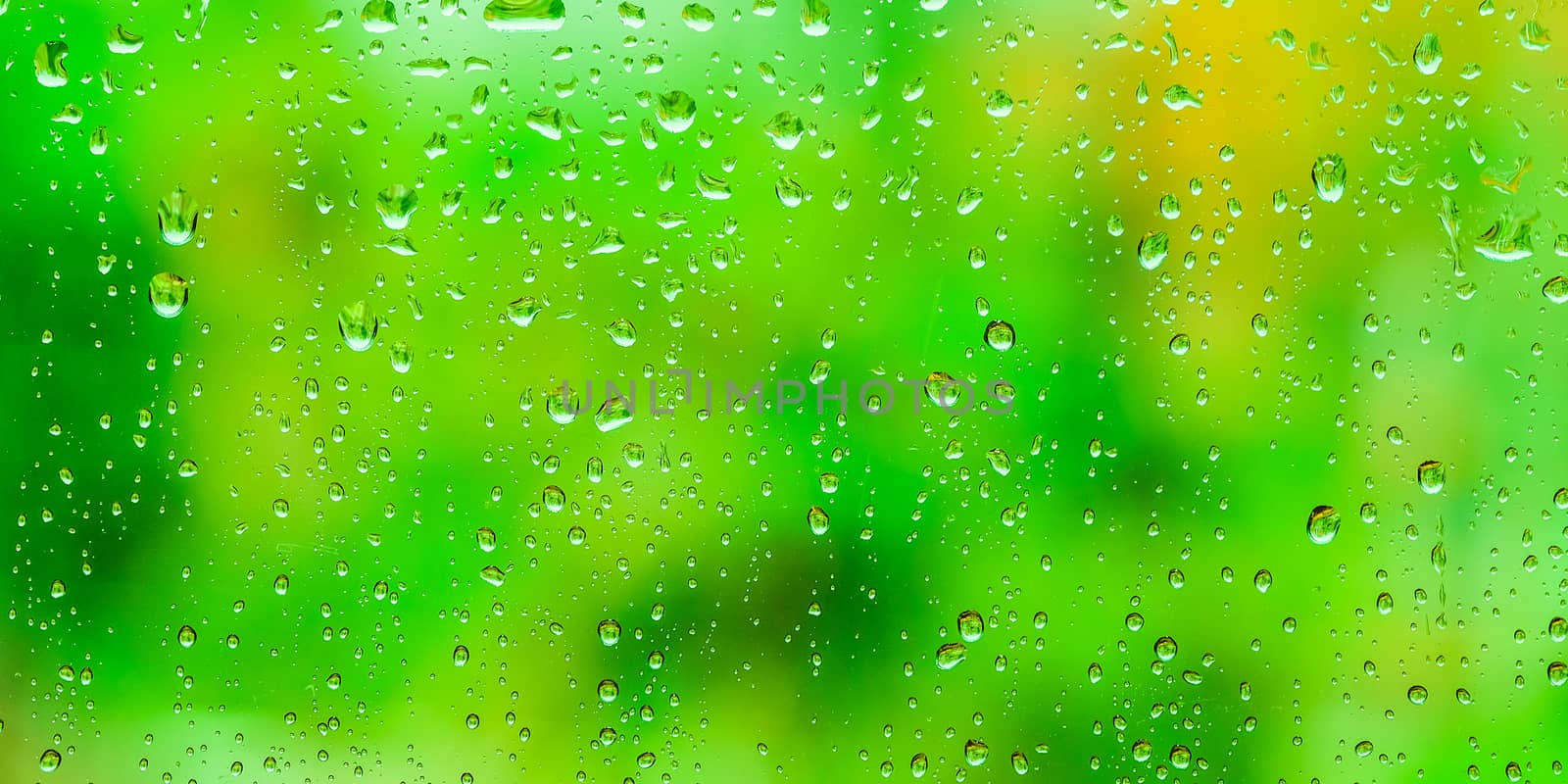 Water drops on green background by Surasak