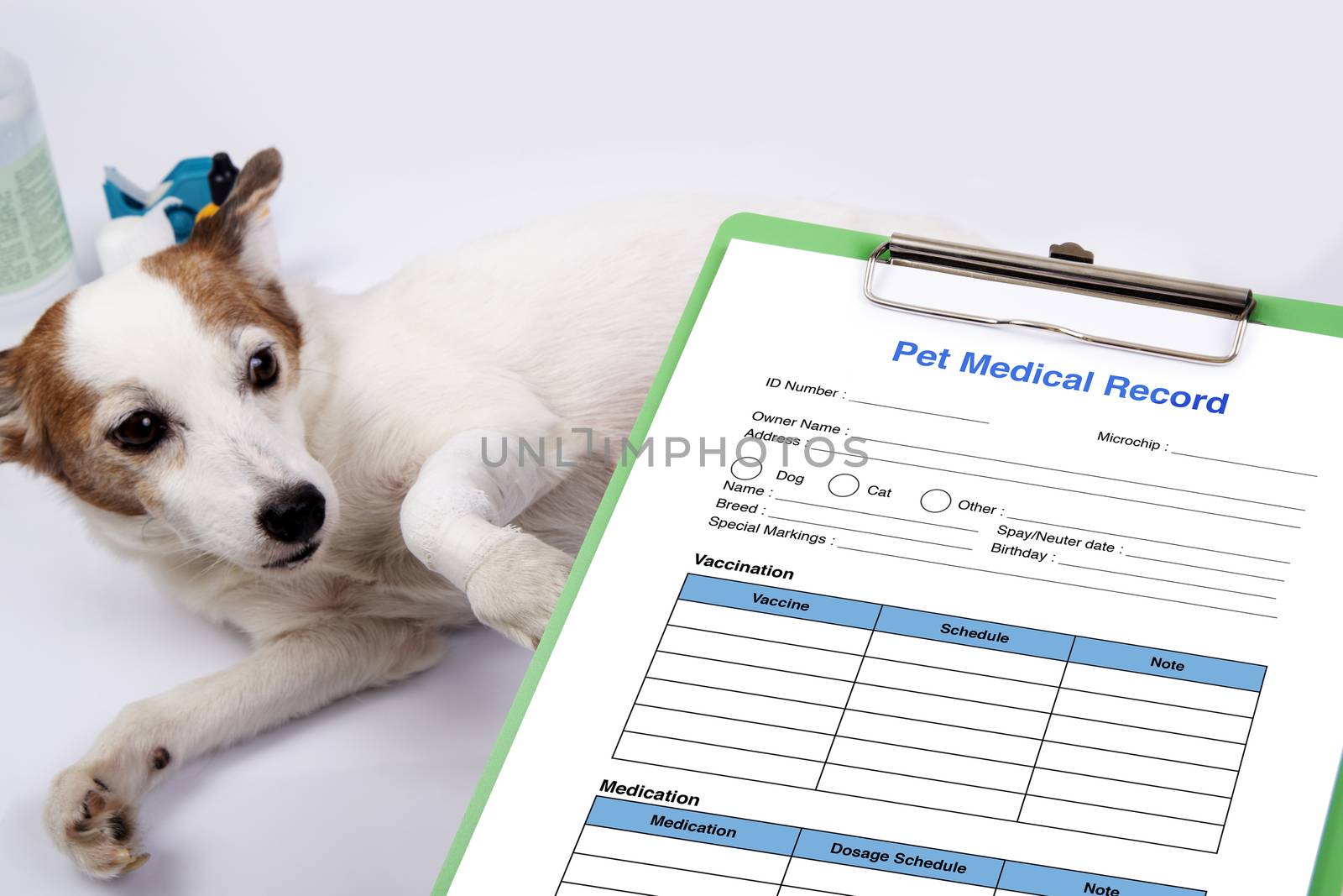 Pet medical record on clipboard with background of injured dog t by pandpstock_002