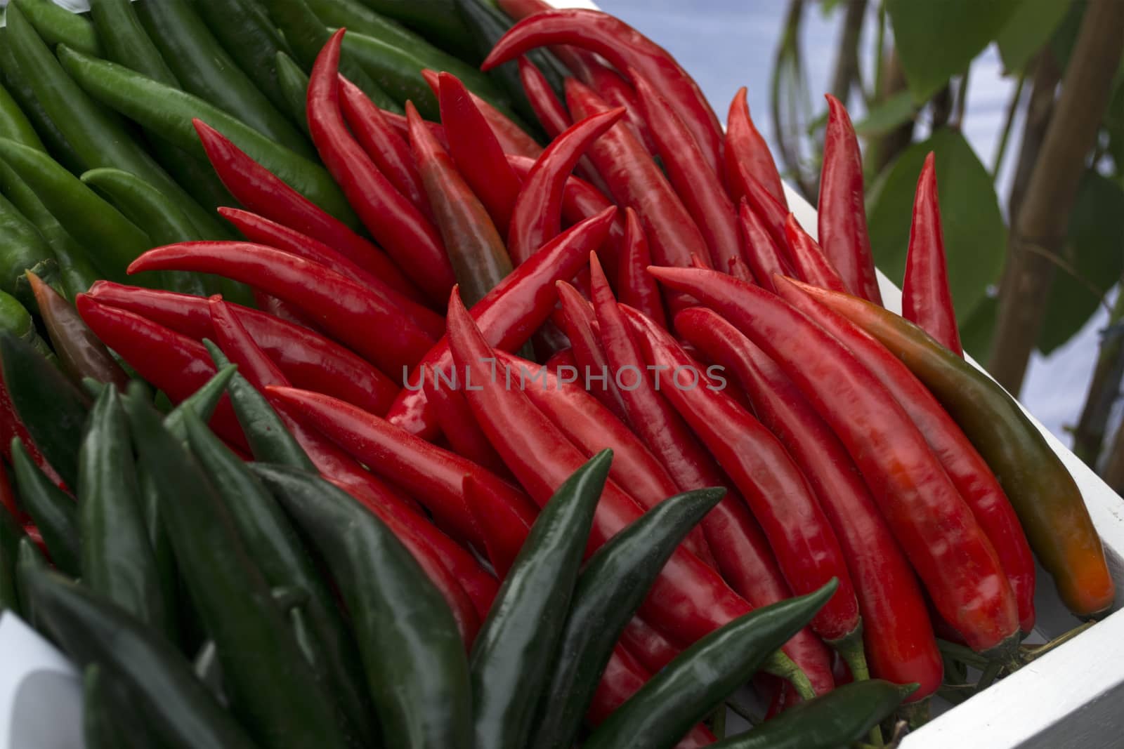 Colorful chili is a spicy condiment are several to see in Thai food market.