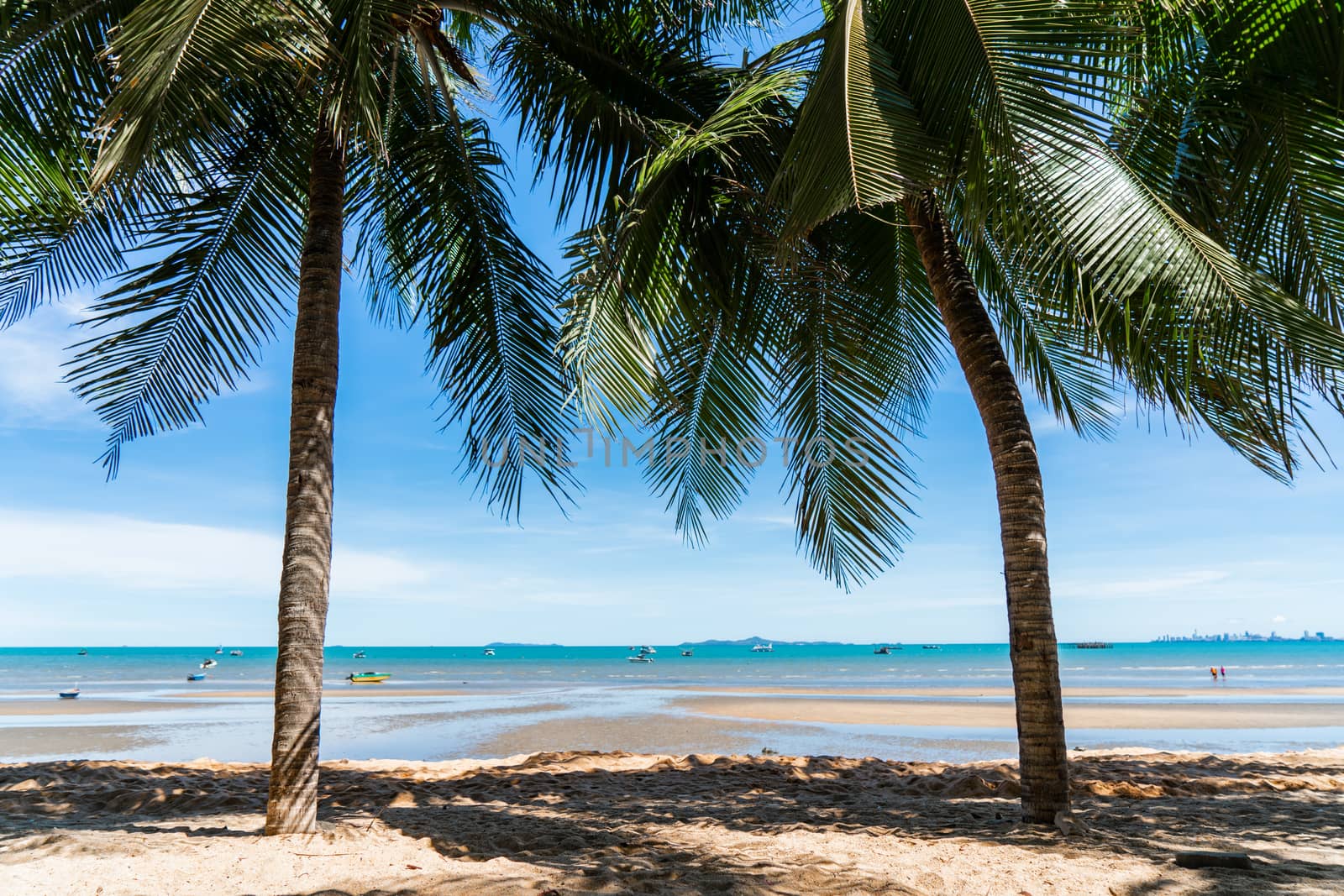 Coconut tree and scenery beach with blue sky for summer holiday