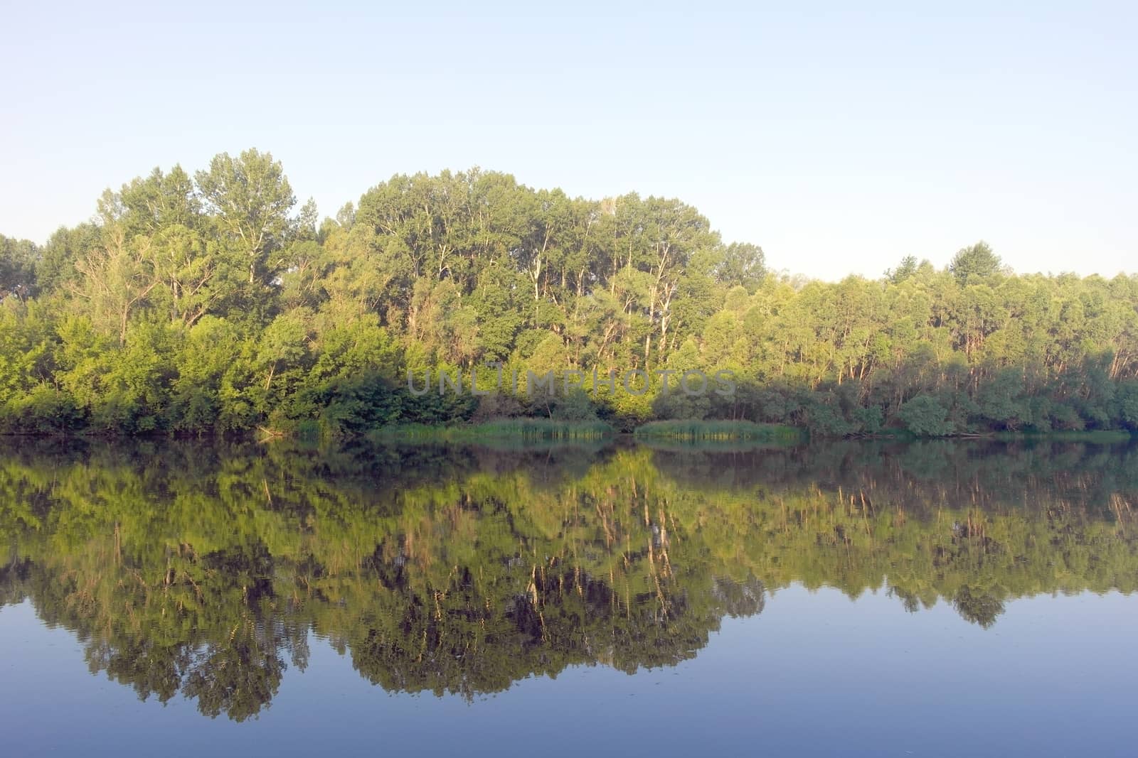 Beautiful summer landscape by sergpet