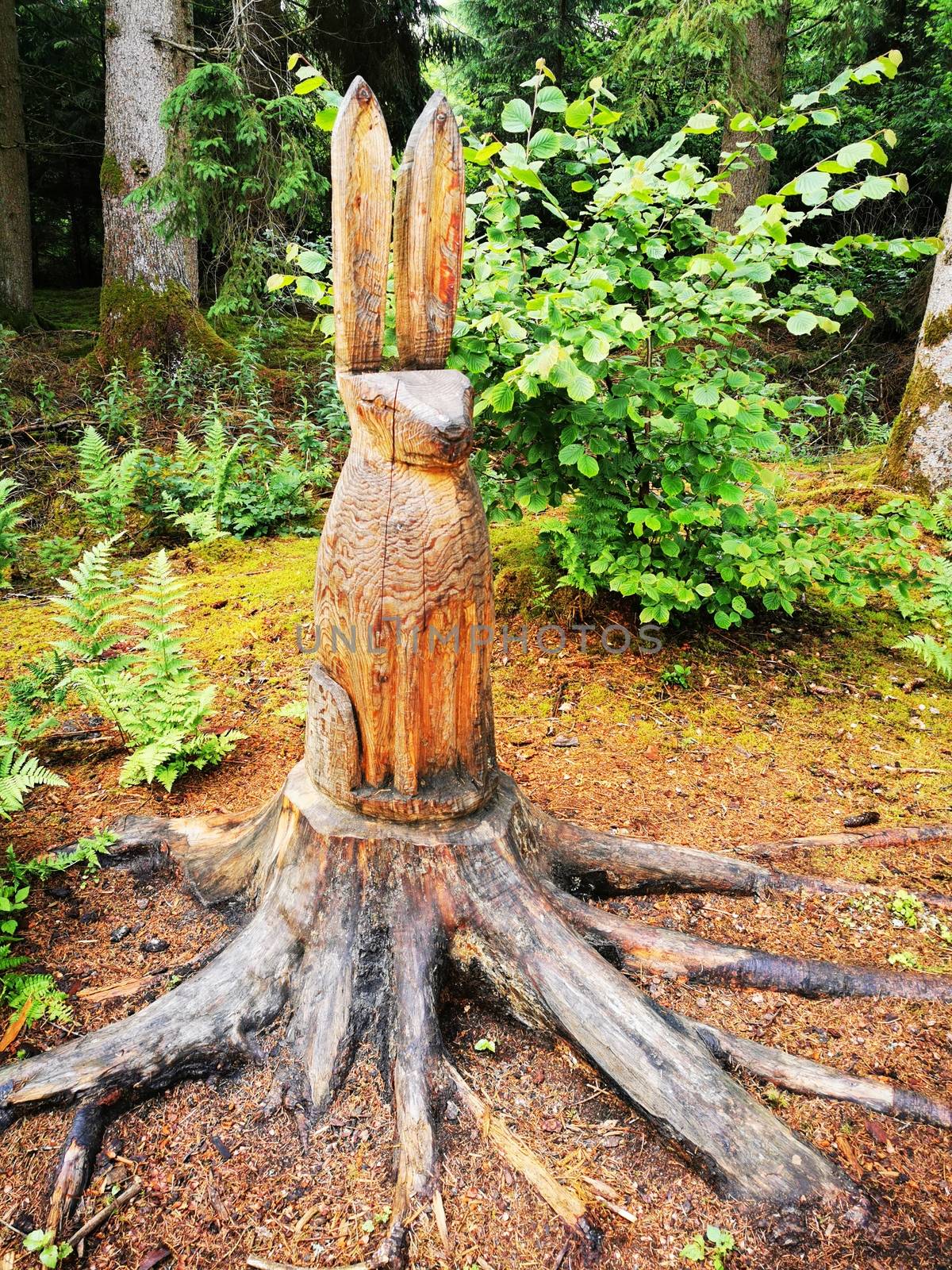 Beautiful wooden sculptures in the nature reserve Pfrunger-Burgweiler Ried, Upper Swabia, Germaby