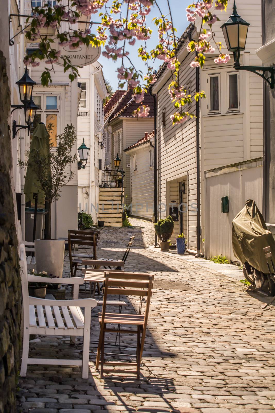 Bergen, Norway, May 2020: cozy cobblestoned street and houses in Bergen, Norway