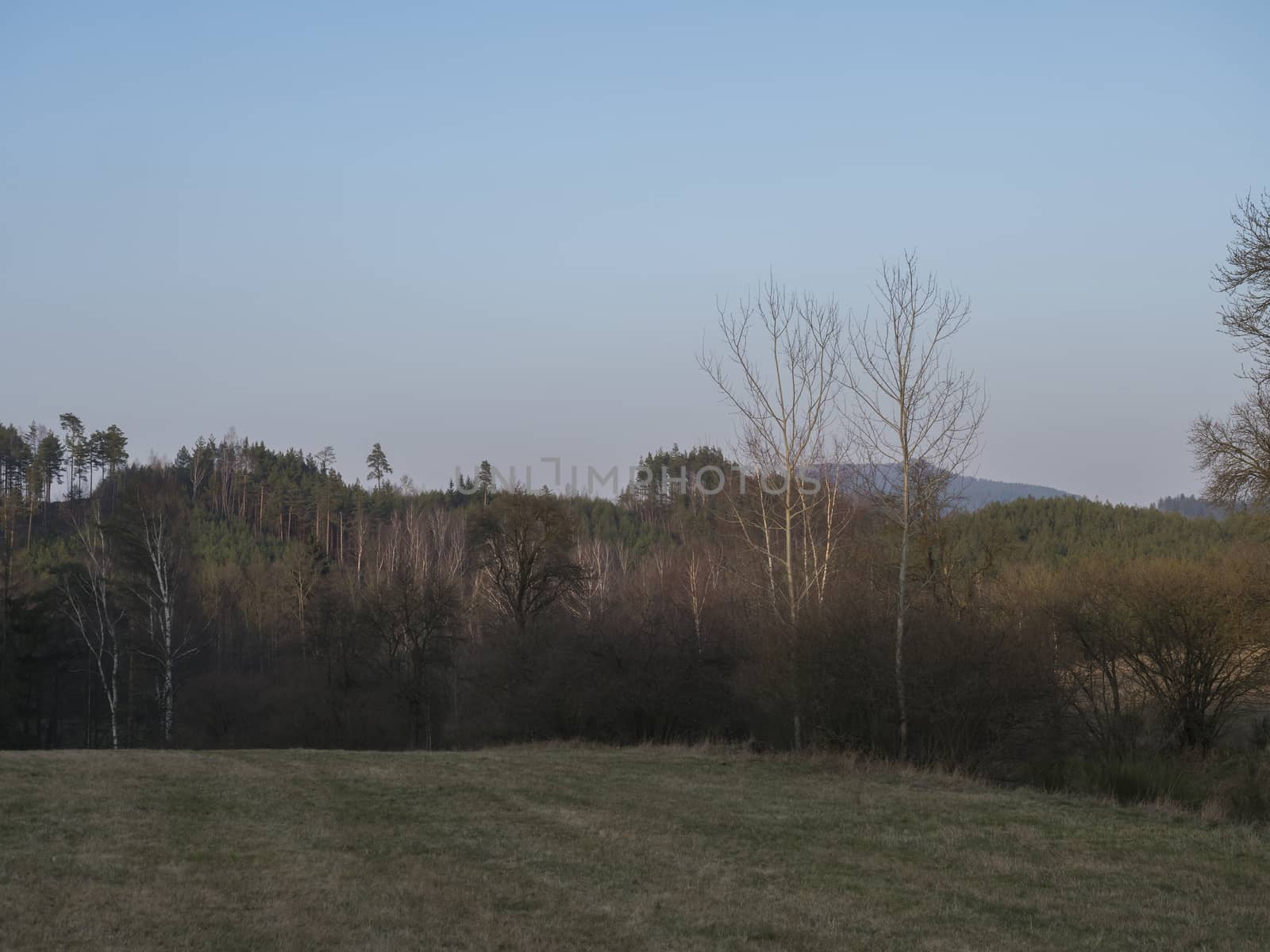 early spring landscape at Lusatian mountains, with grass meadow, bare trees, deciduous and spruce tree forest, hills, clear blue sky background, golden hour light, horizontal, copy space.