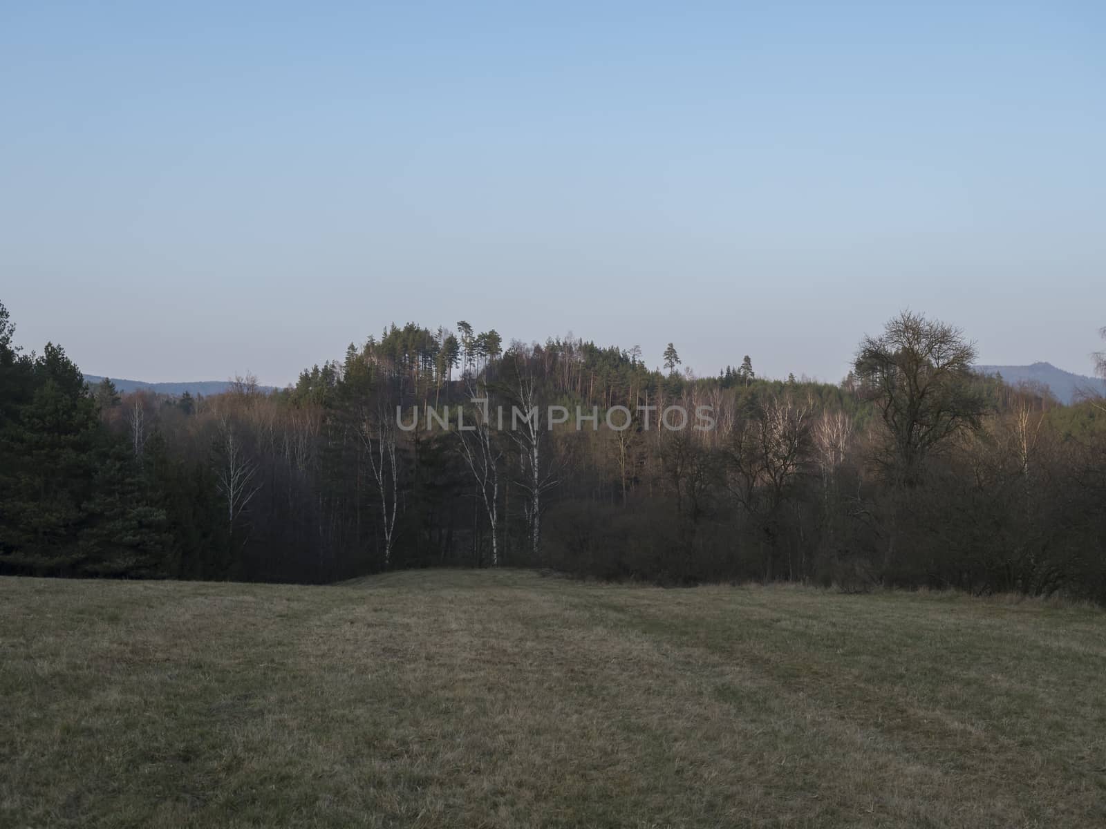 early spring landscape at Lusatian mountains, with grass meadow, bare trees, deciduous and spruce tree forest, hills, clear blue sky background, golden hour light, horizontal, copy space.
