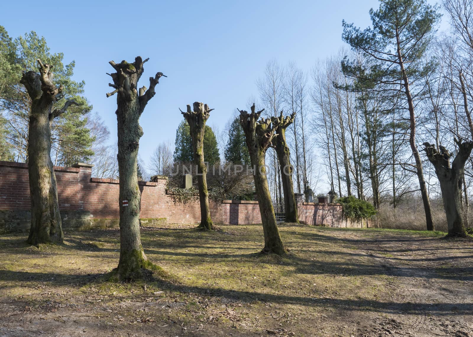 red brick wall witj entrance doot to country cemetery at small village Marenicky in luzicke hory, Lusatian Mountains, early spring, blue sky by Henkeova