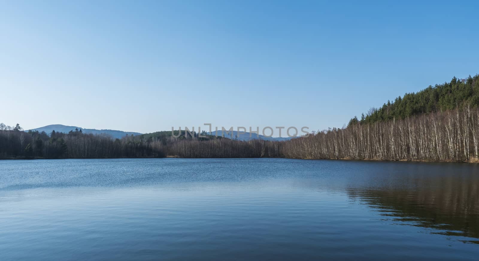 Blue calm water of forest lake, fish pond Kunraticky rybnik with birch and spruce trees growing along the shore and clear blue sky. Nature background. Early spring landscape