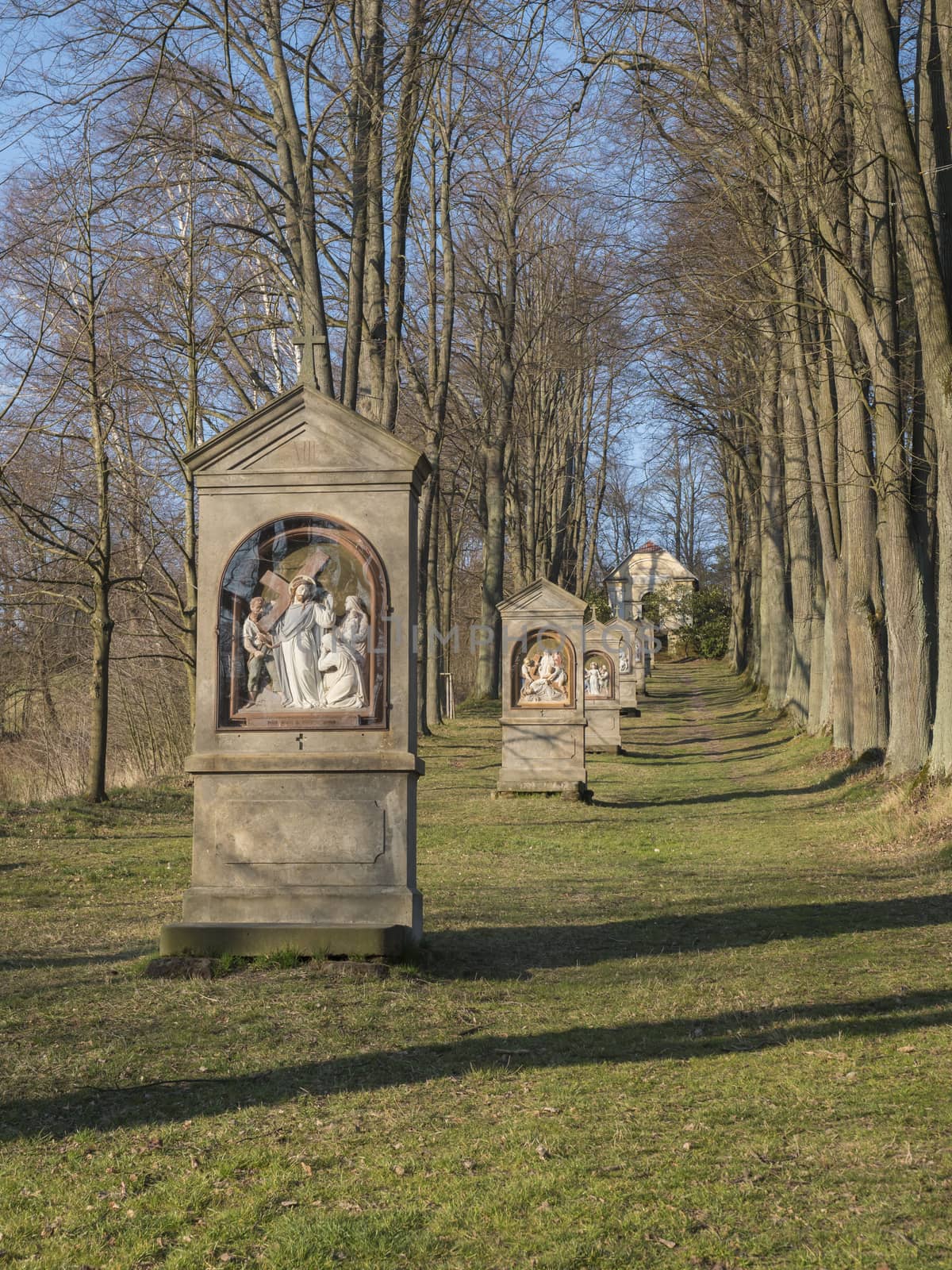 Stations of the Cross in avenue of beech tree near village Cvikov. Calvary with small chapels build in 1728 by Johann Franz Richter. Pilgrimage place Luzicke hory, Lusatian Mountains, spring, blue sky by Henkeova